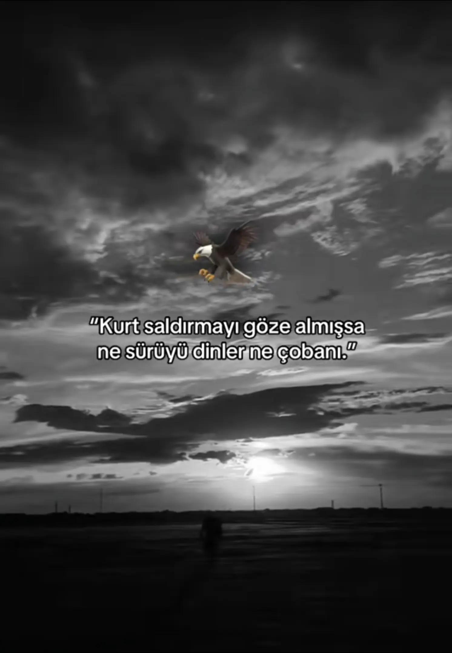 @Muhamed bulak 76 🦅