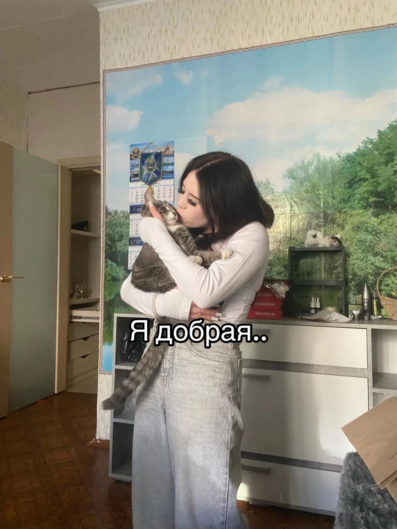 @Artemova