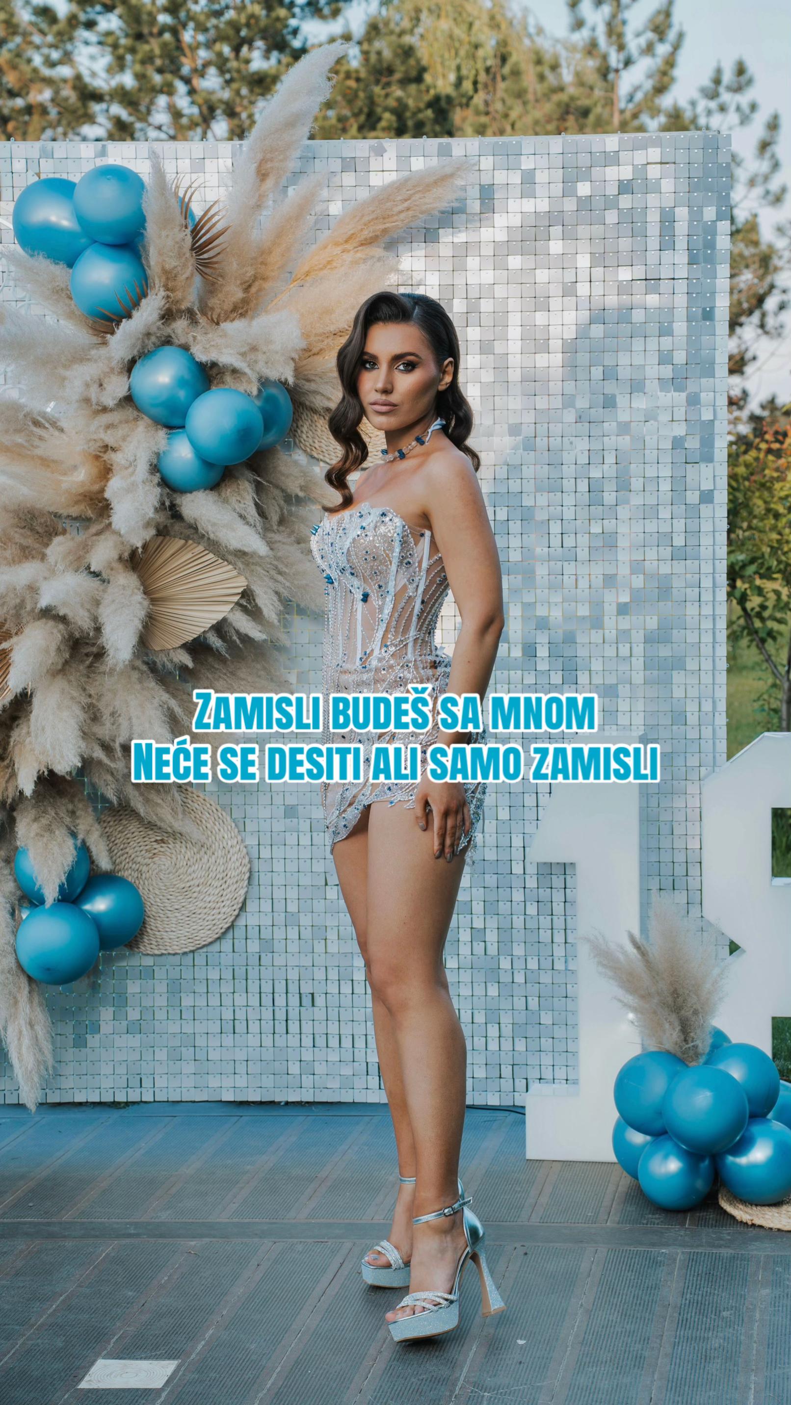 @vidić jellena