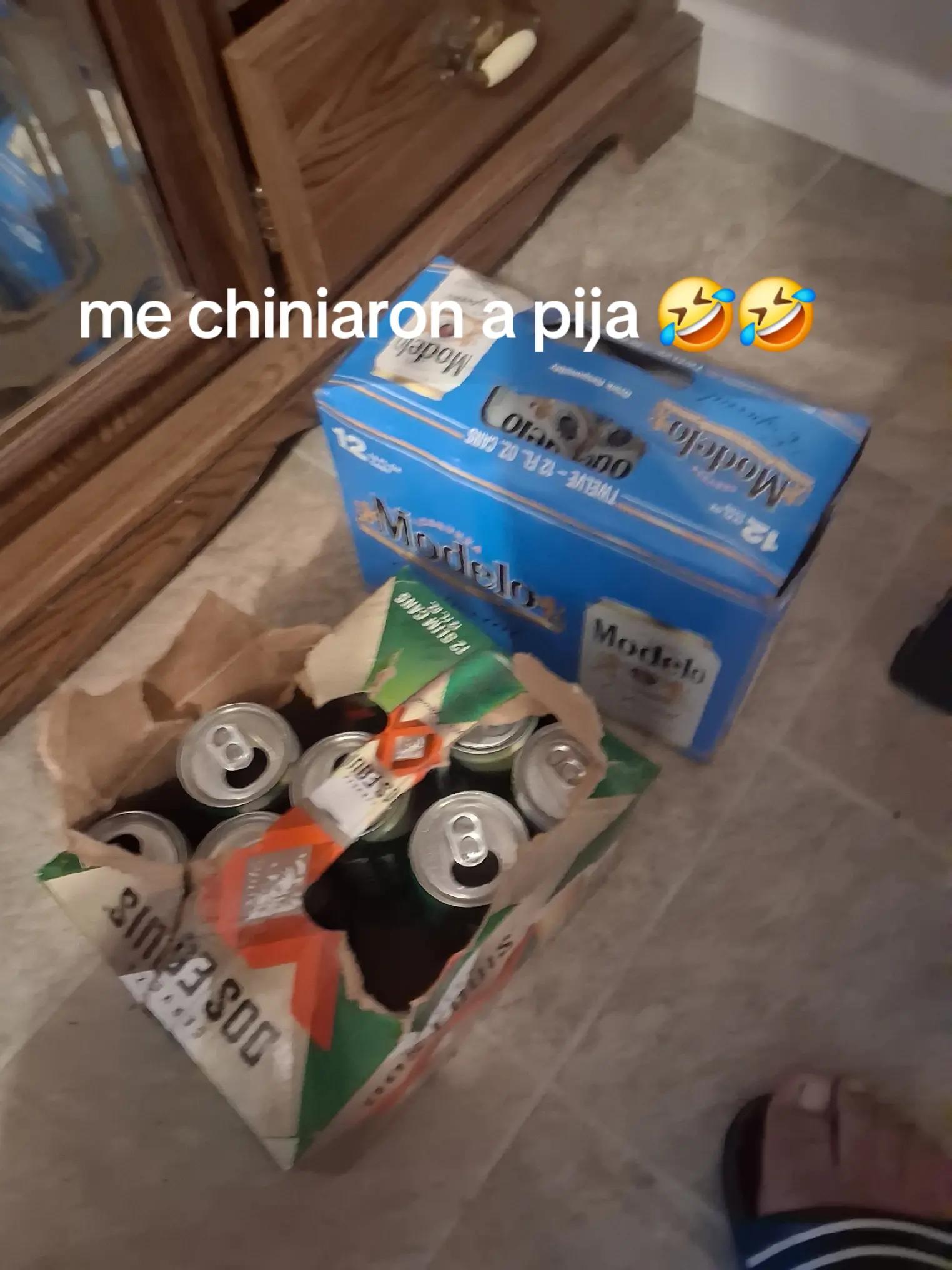 @noelito2317🦎