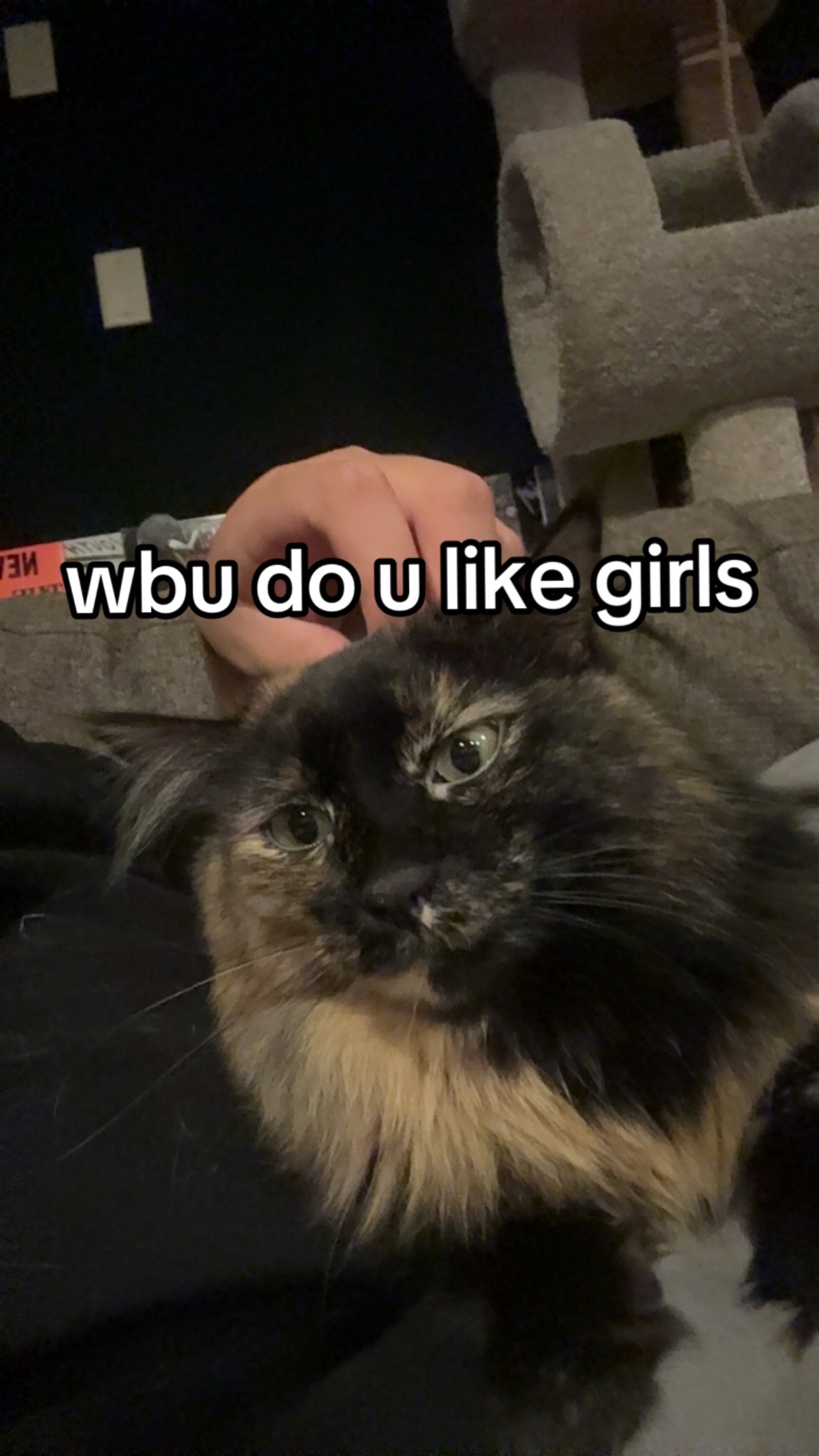 @☿