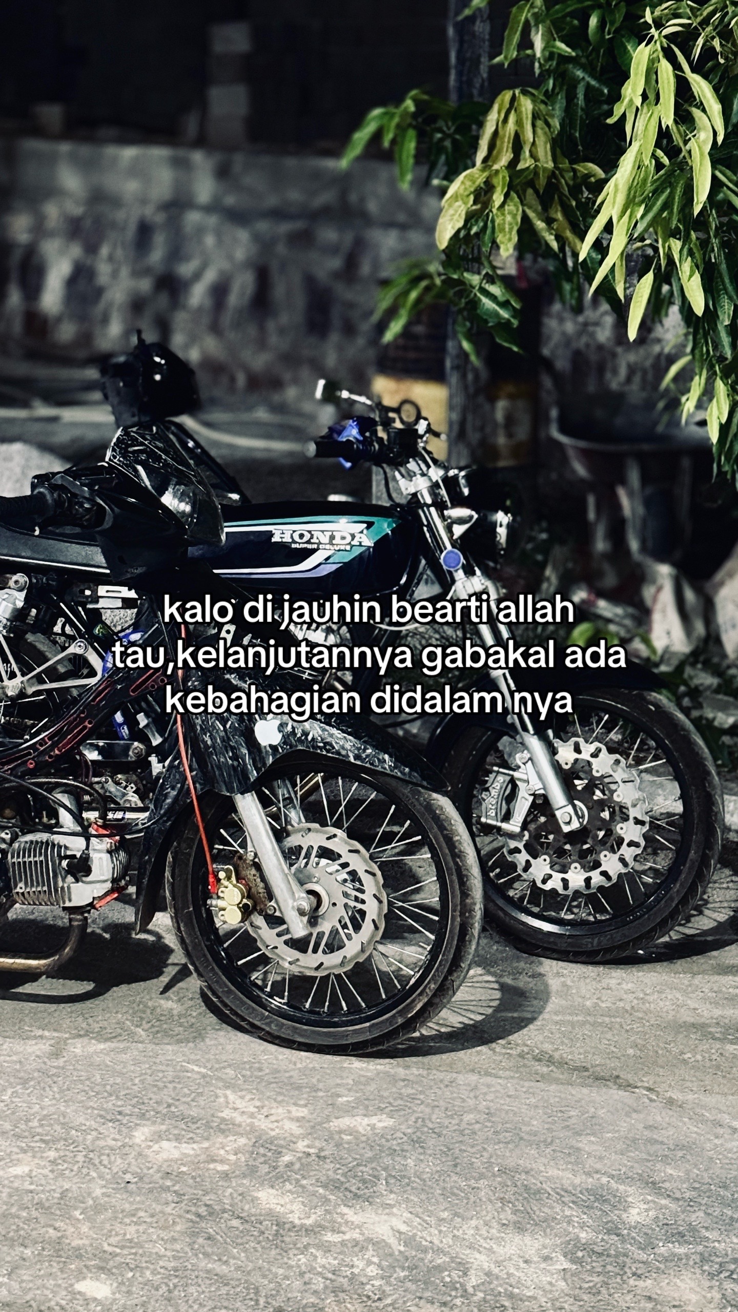 @andrawr