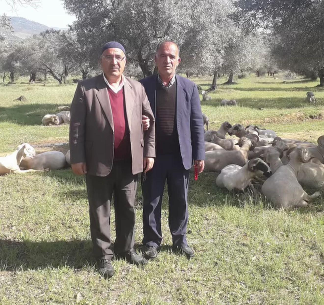 @İlhami bayir