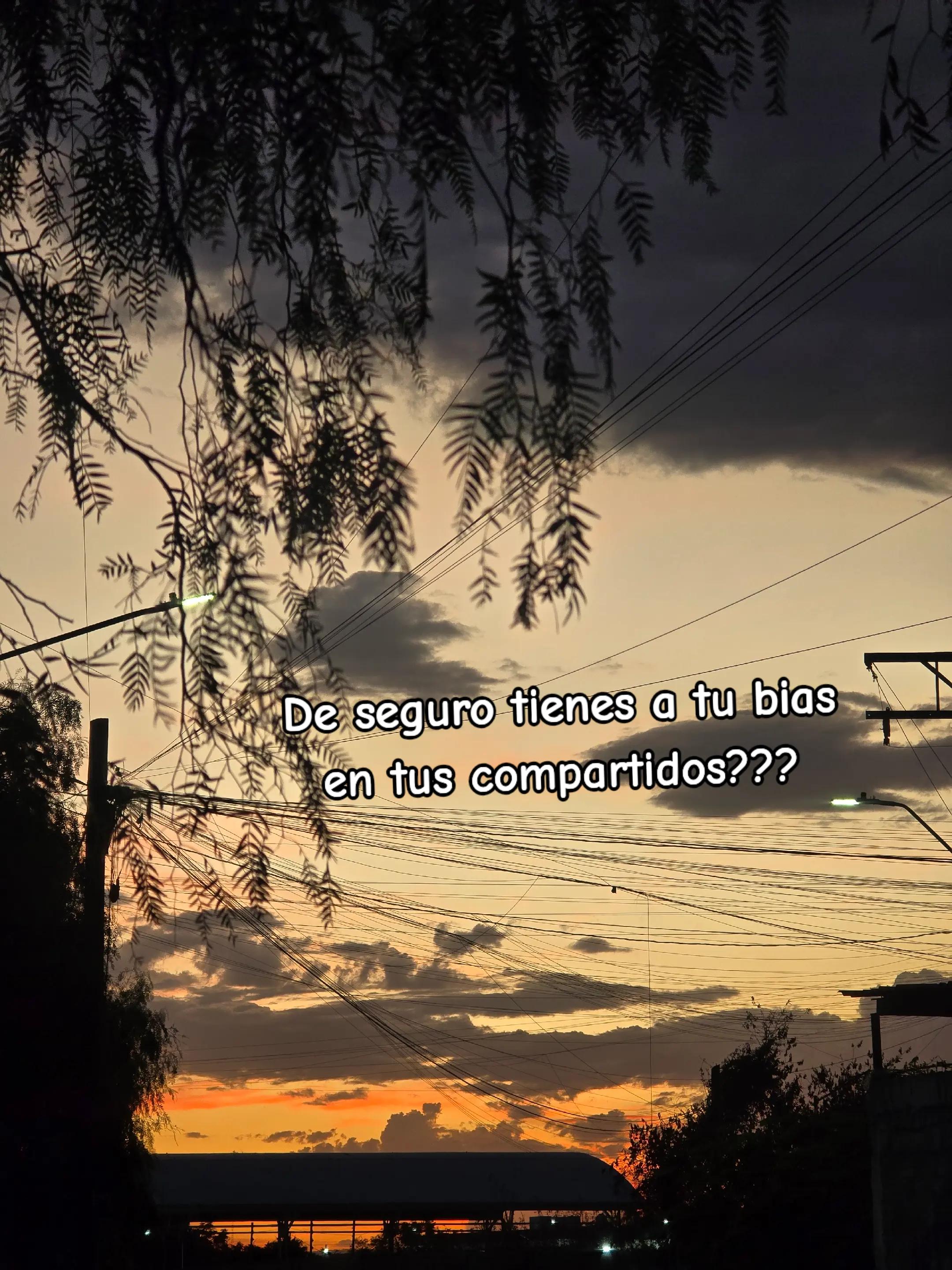 @⟬⟭ Cecy ⊙⊖⊜ Juarez ⟭⟬⁷