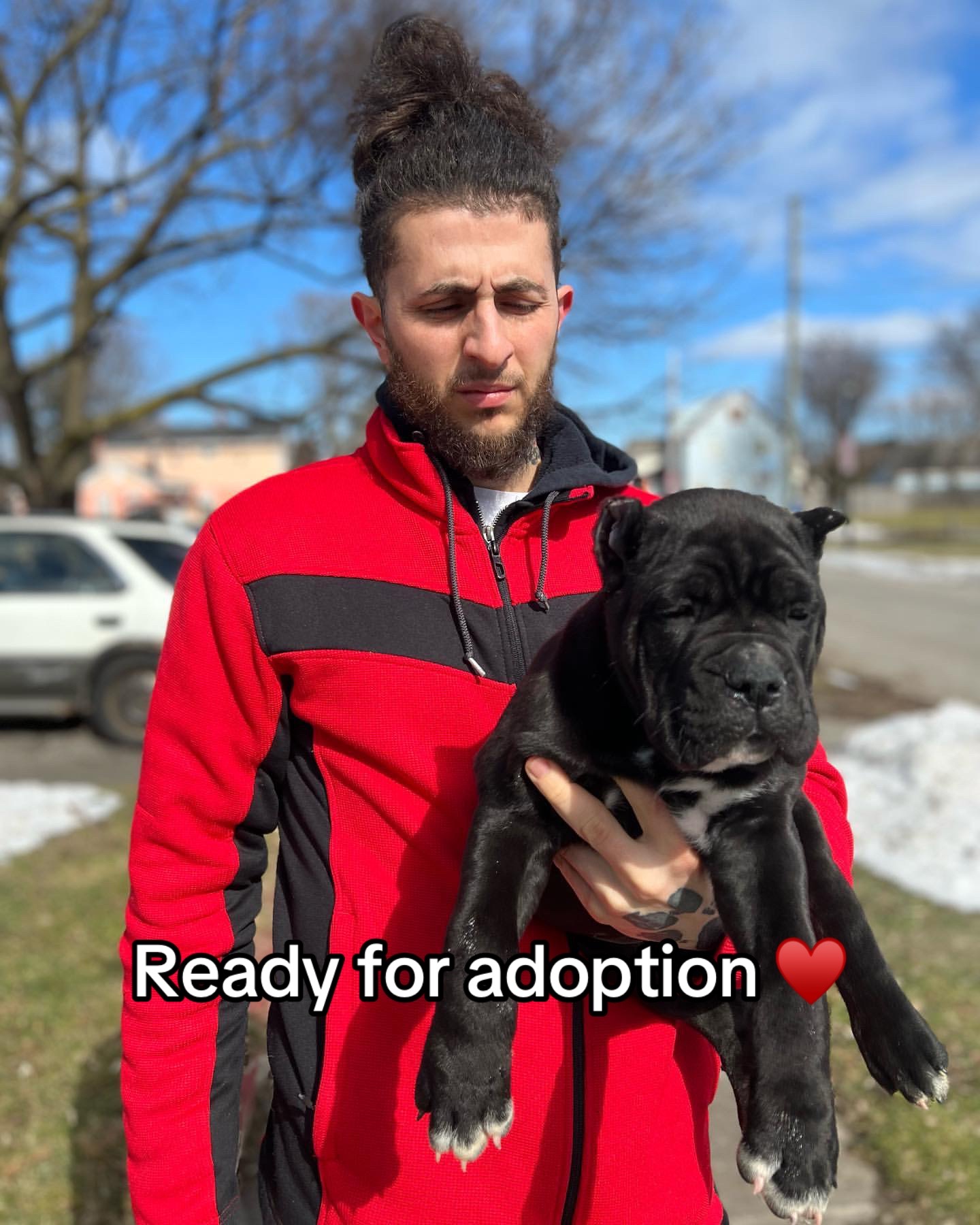 @CaneCorso