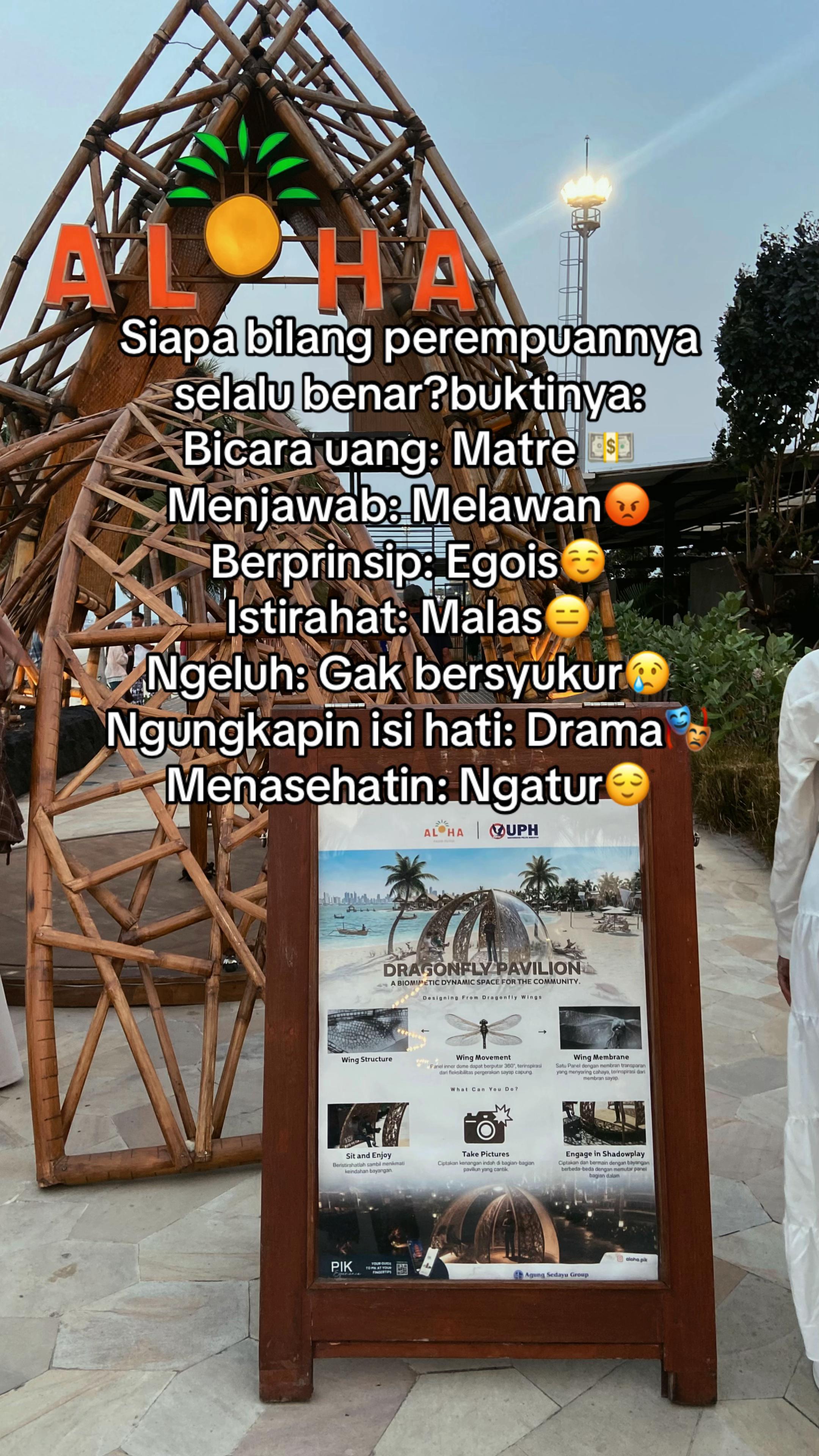 @Si cantik yang JOMBLO