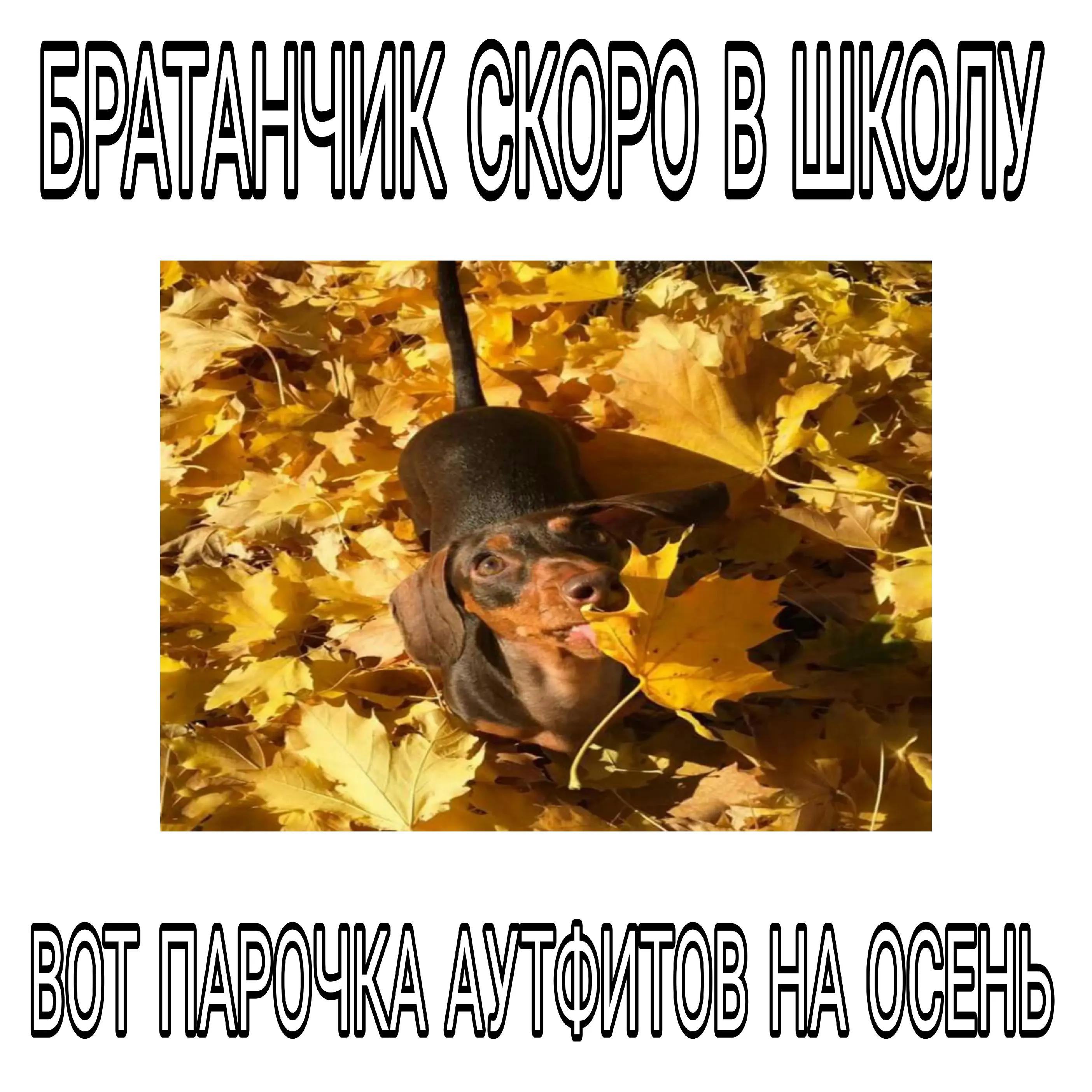 @tg:blag0o0