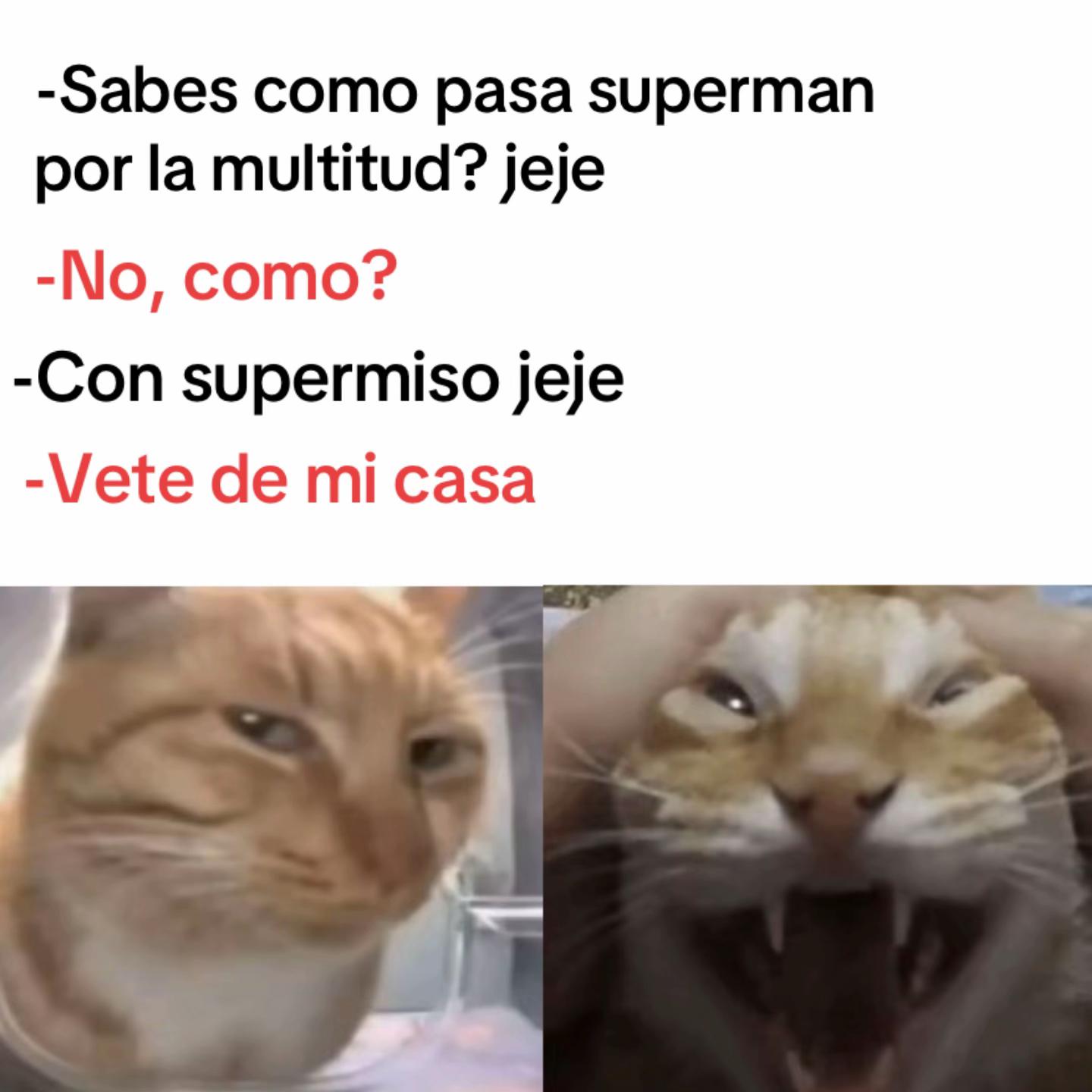 @momazosnegromarronjeje