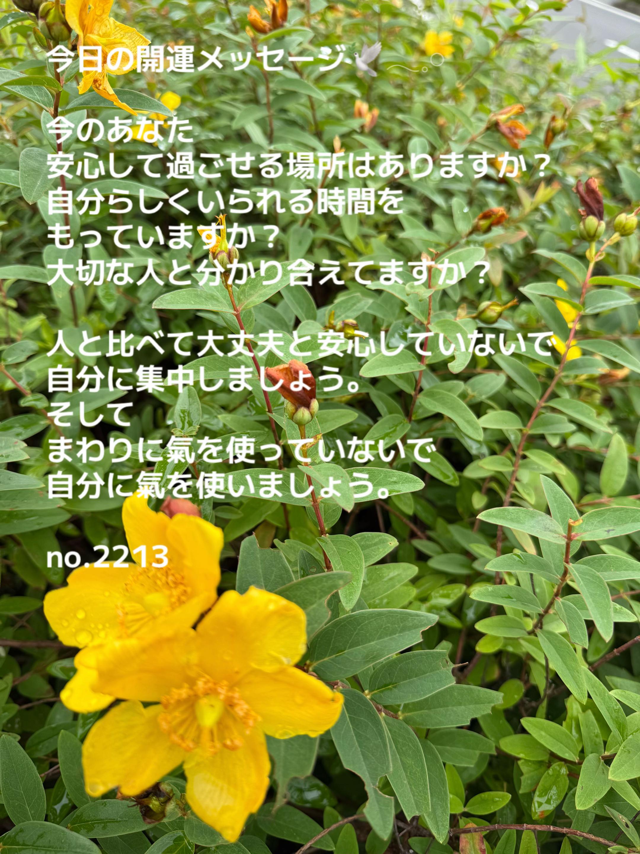 @あま姐さん💎人生まるごと再構築プロデューサー