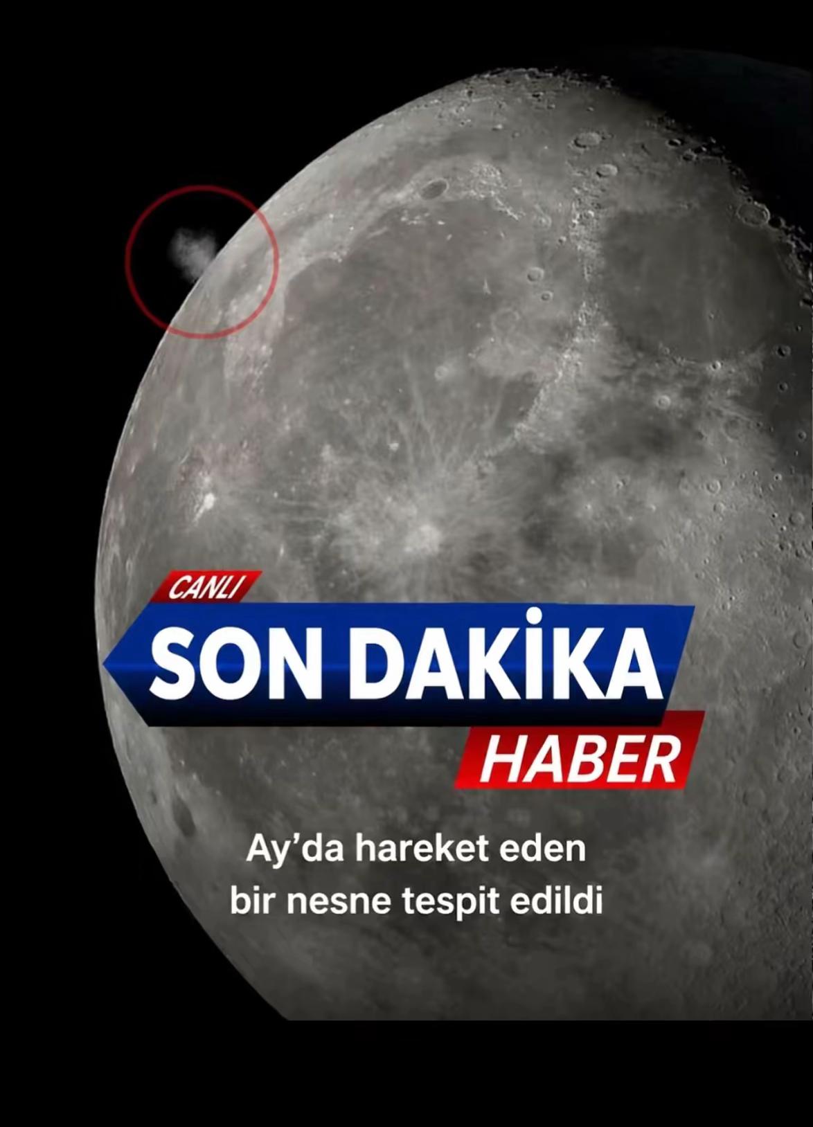 @Erman Armutlu35