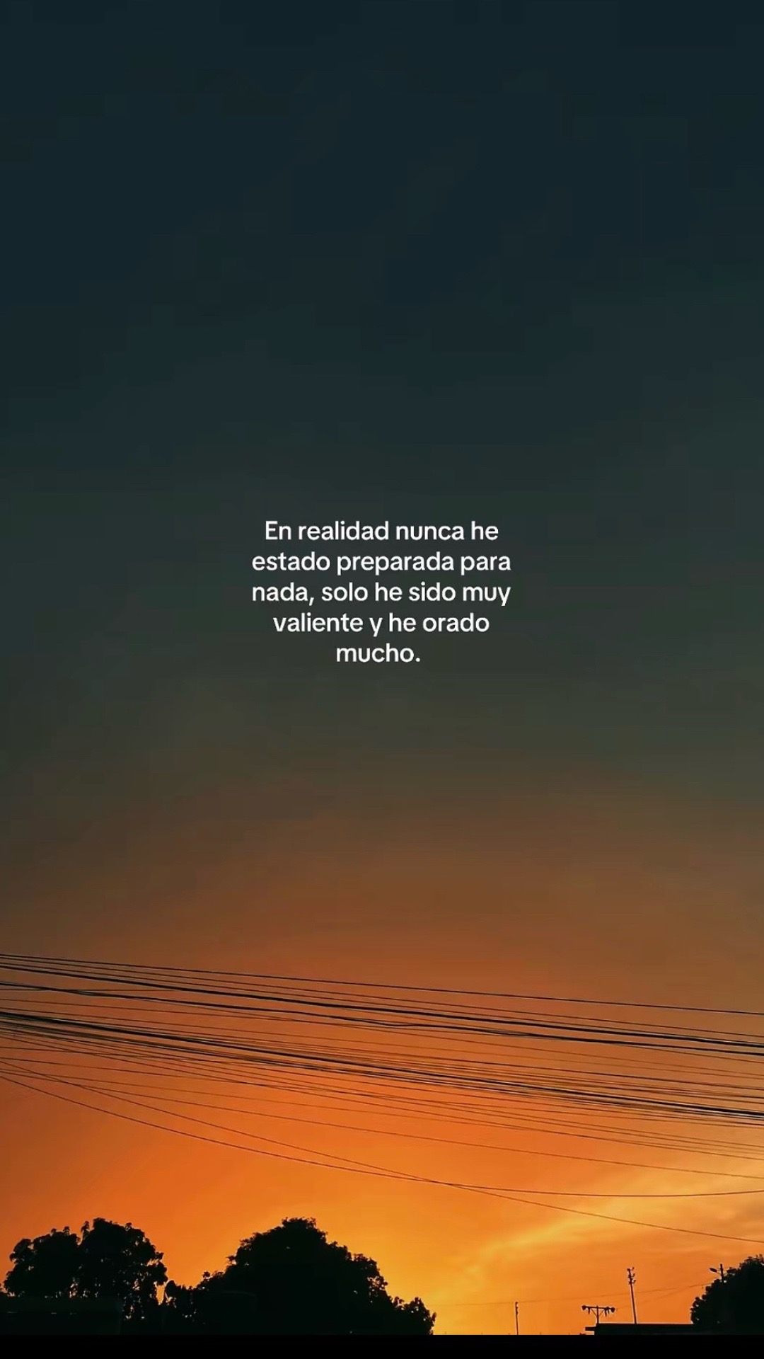 @sofi paola 2019
