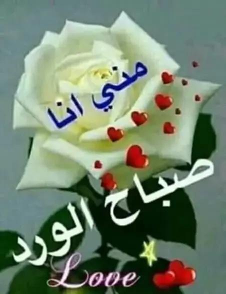 @فرطوش الفساوي الايمو النحاسي