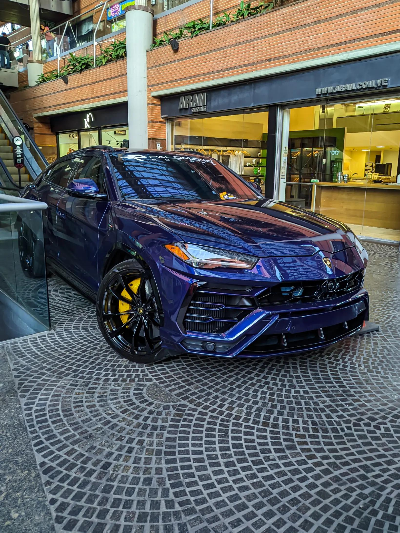 @Paradise Cars