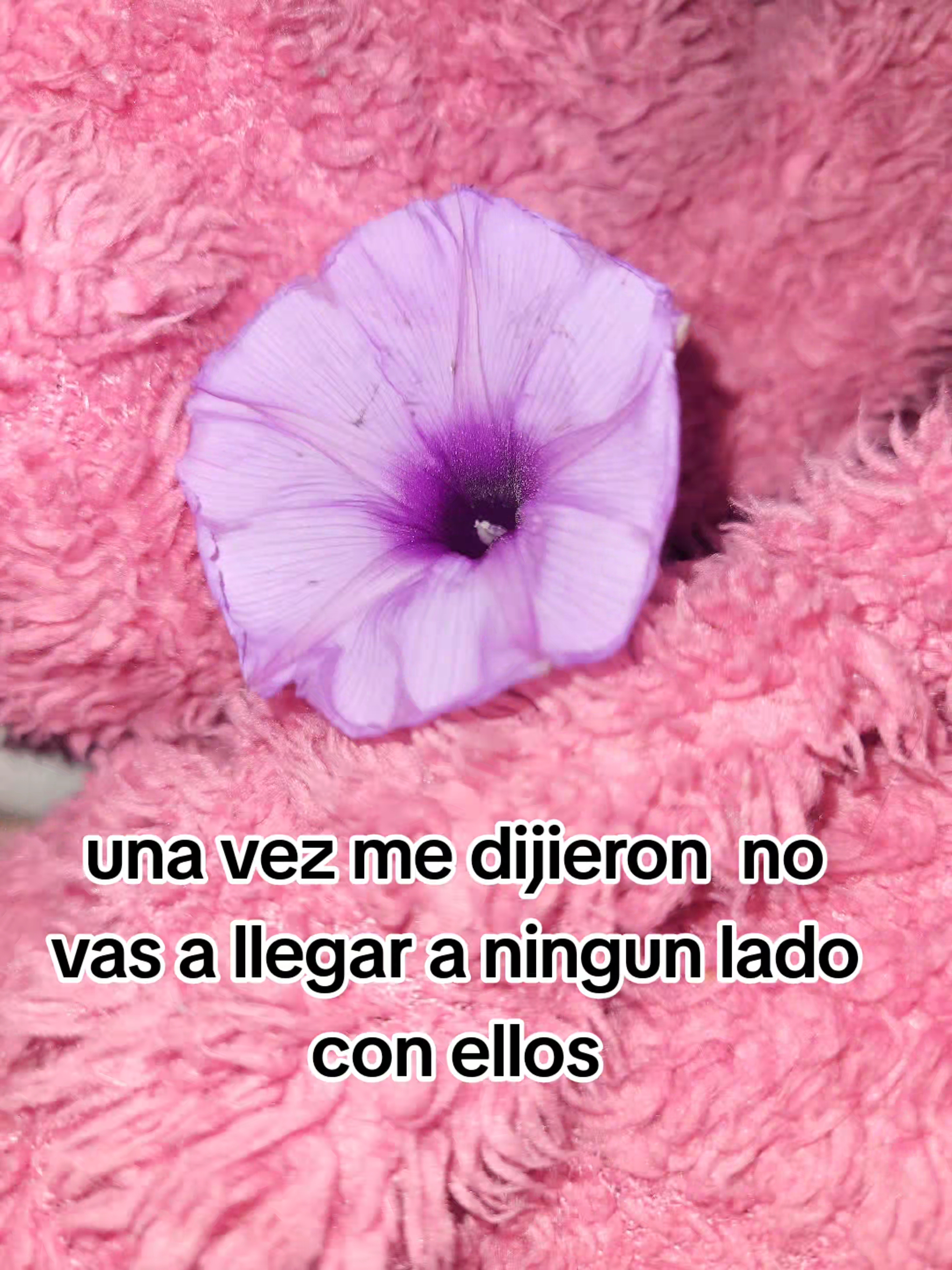 @samiii fan de arta♡