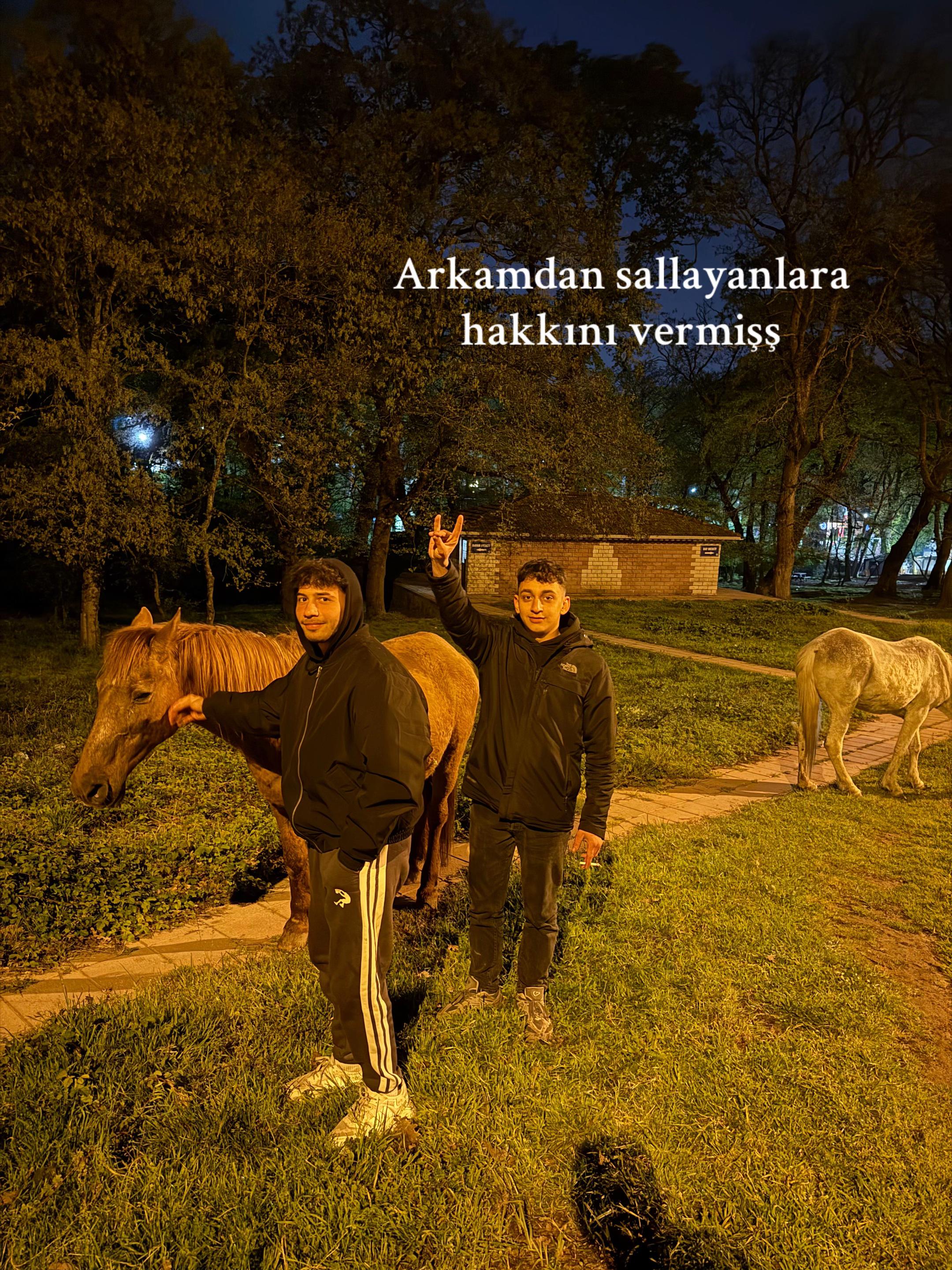 @furkandoganw