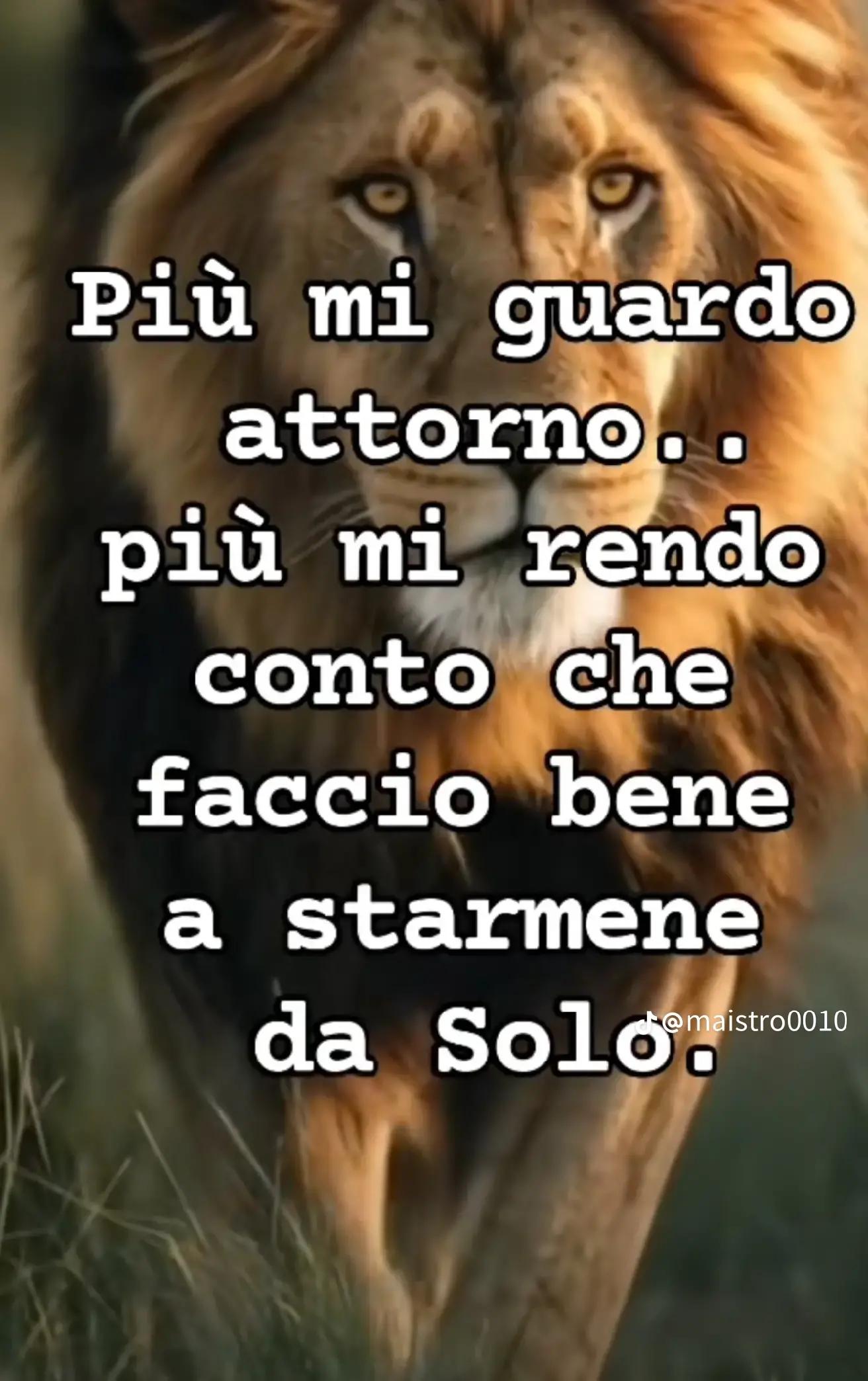 @Stefy