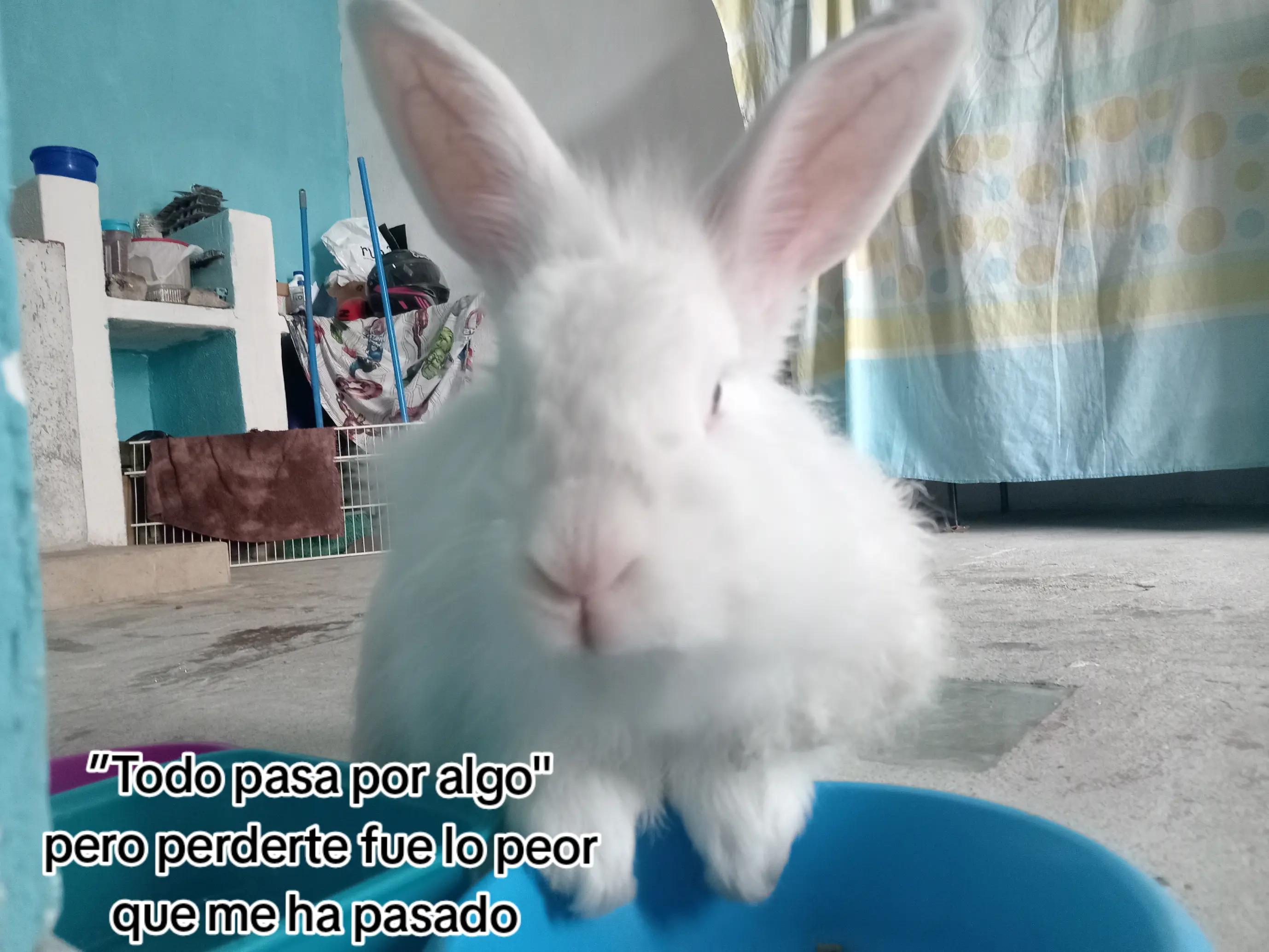 @yaya 💜🥷