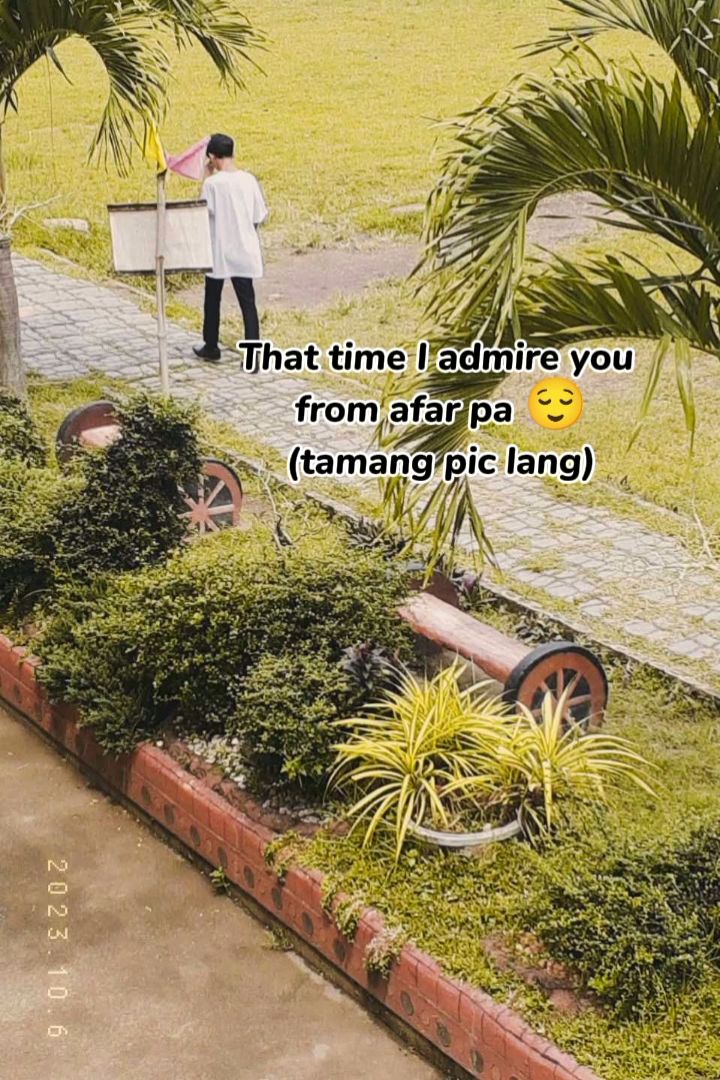 @Cess
