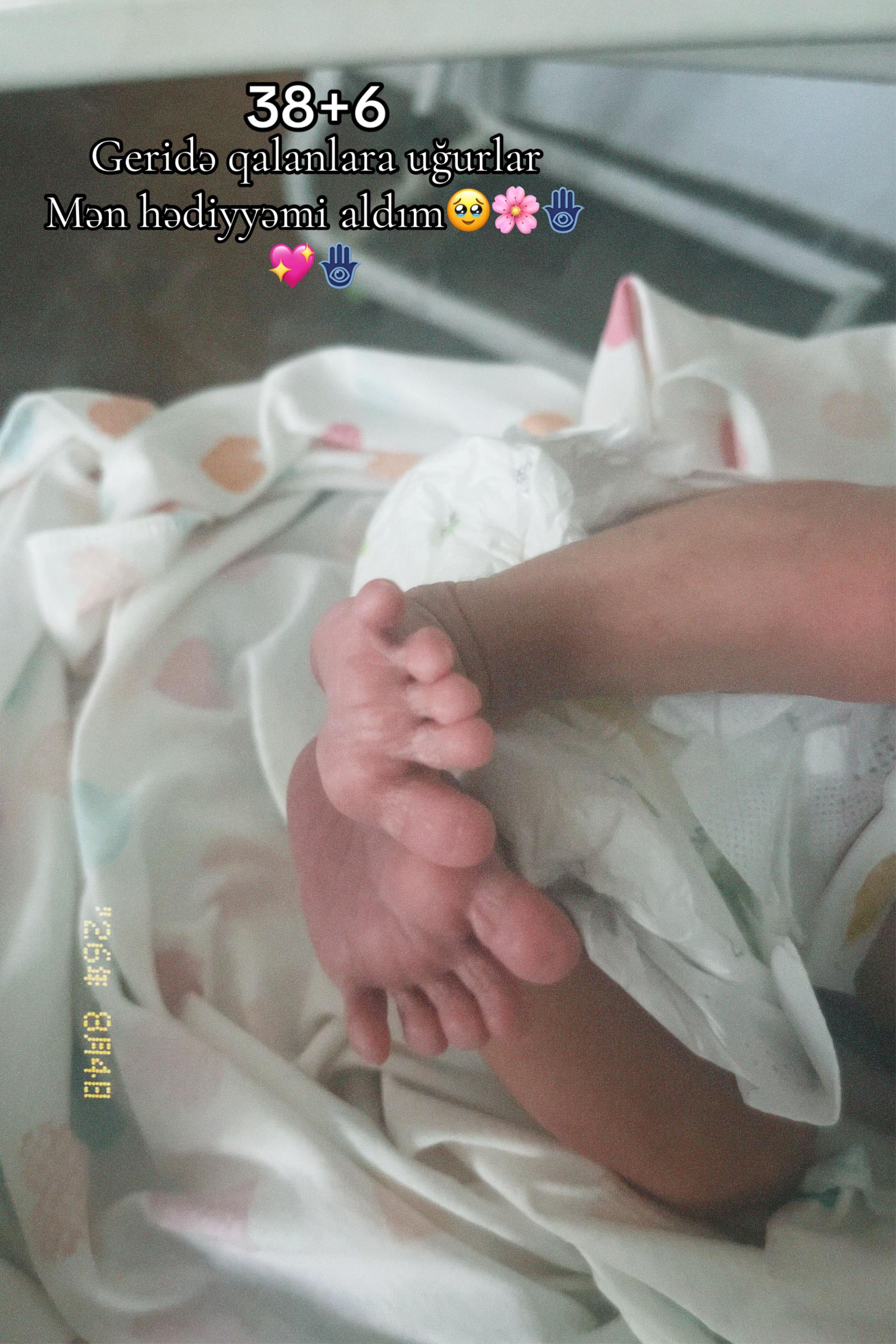 @Kamiş Leyloş🩵