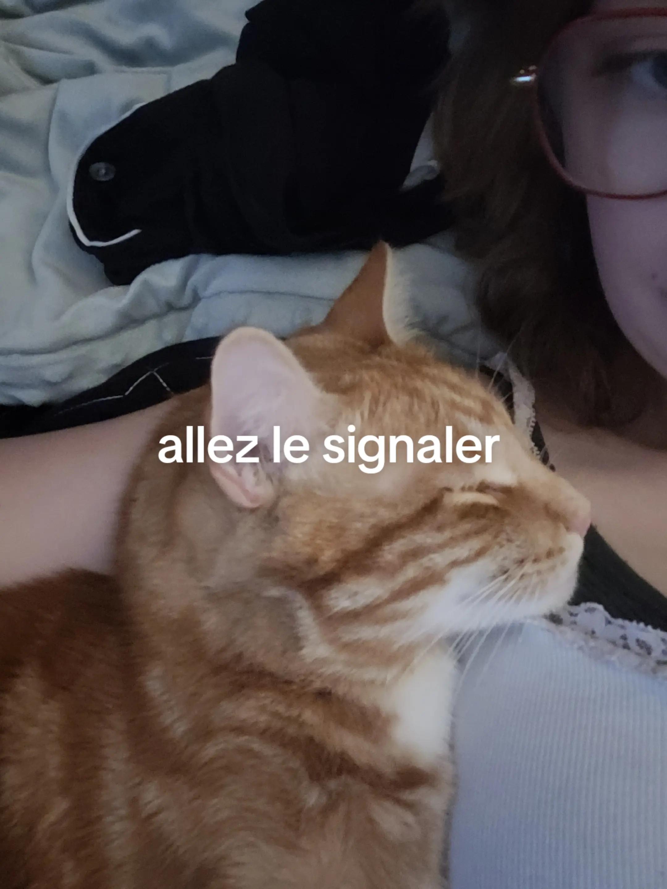 @👑🥷princesses 💫misslavoie💫