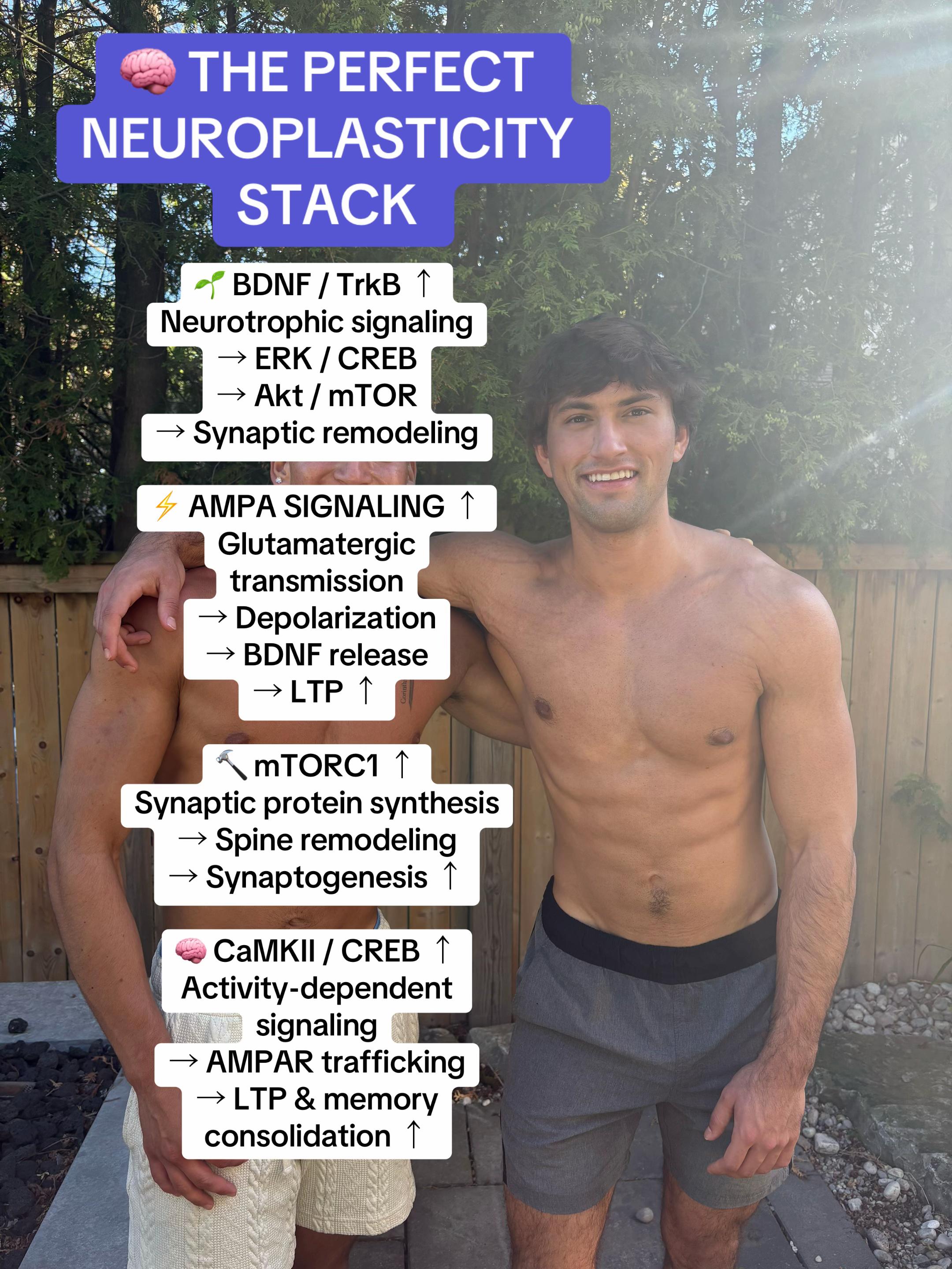 @donovan.rx