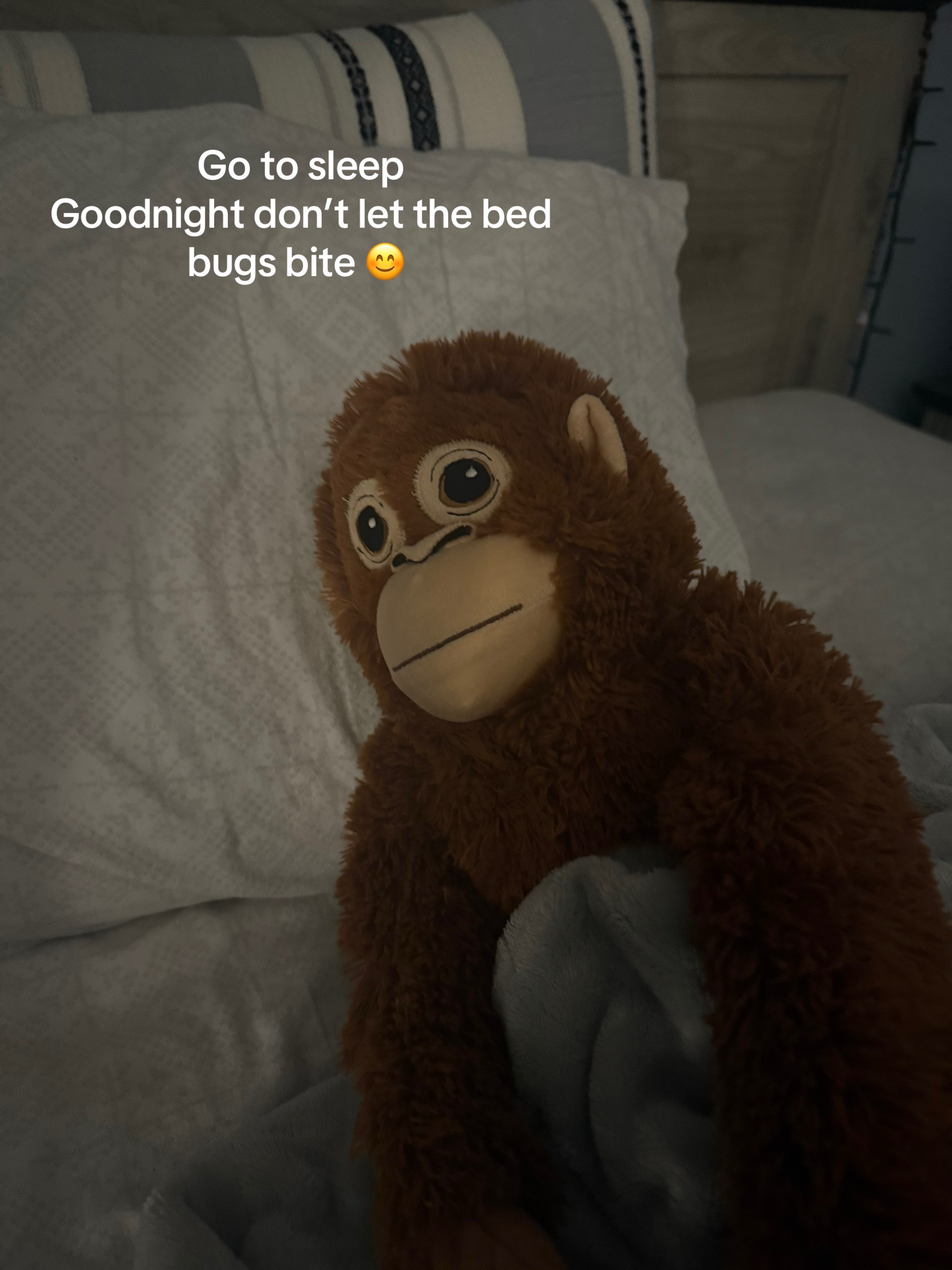 @Ziggy 🐵