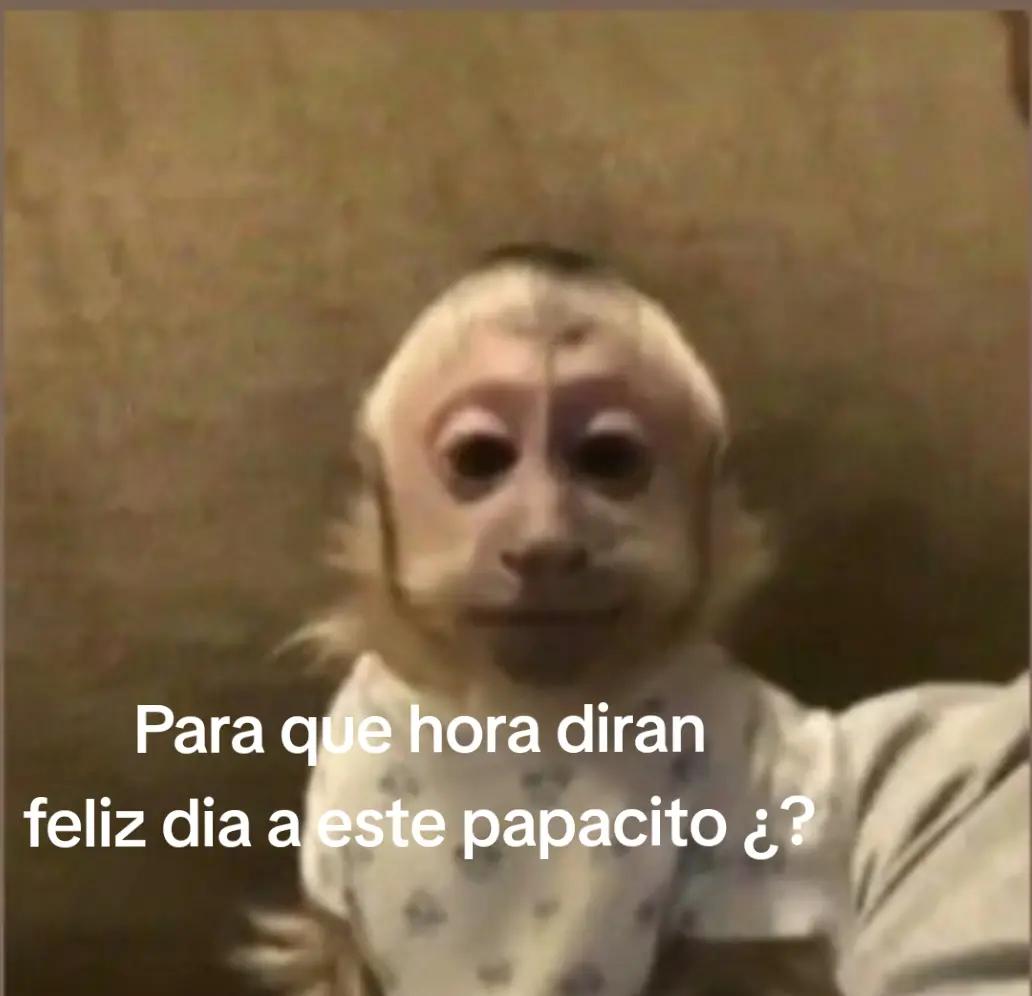 @wal_029