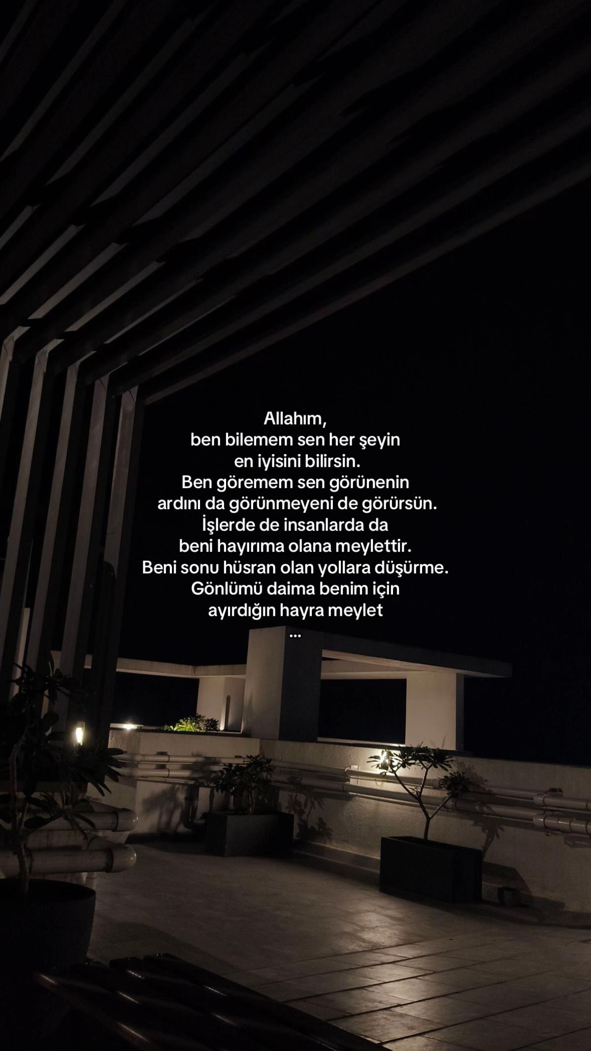 @𝓔𝓵𝓲𝓯