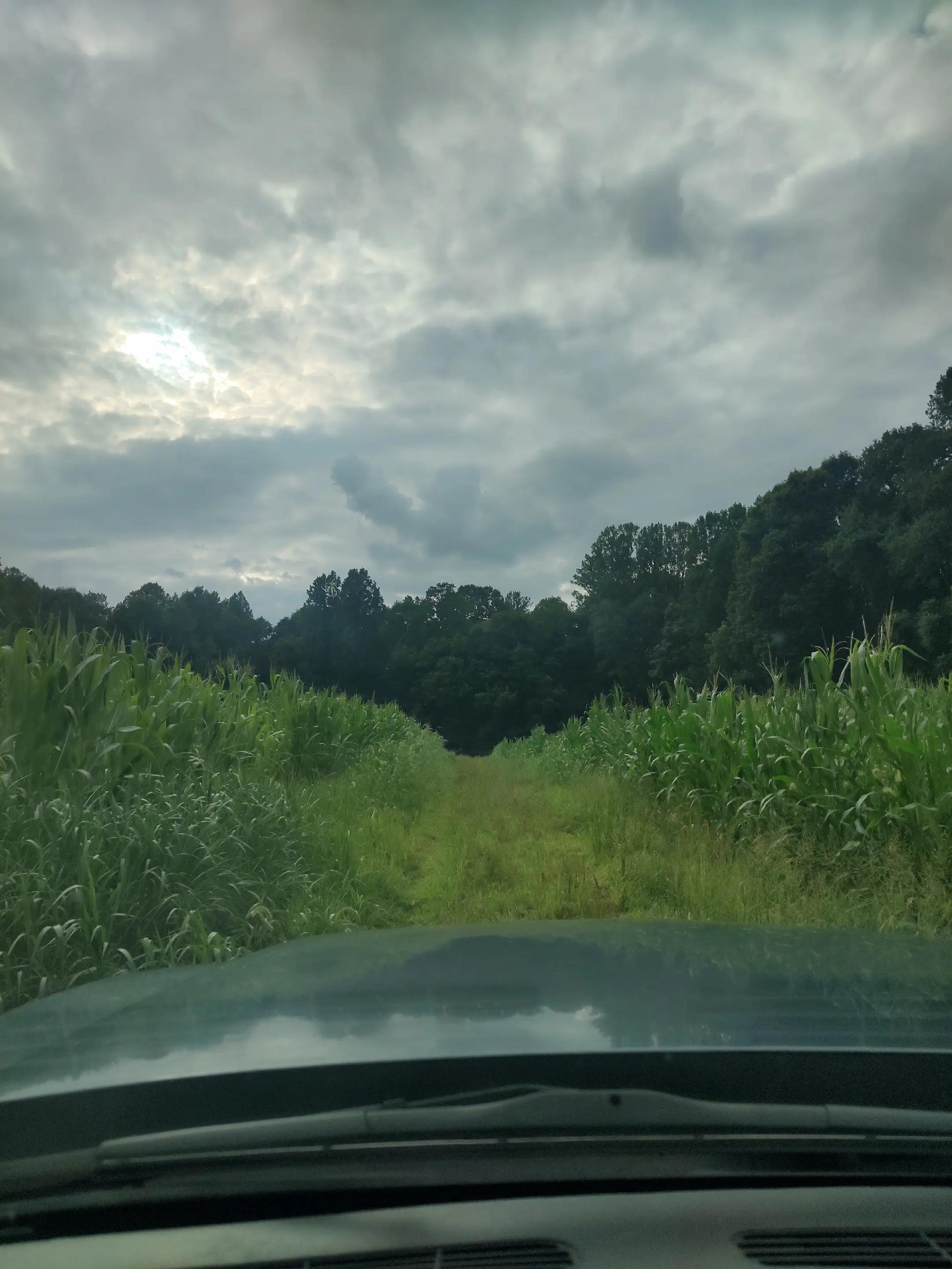 @🏍️ 🌲JasonB1985 🦌🎣✨