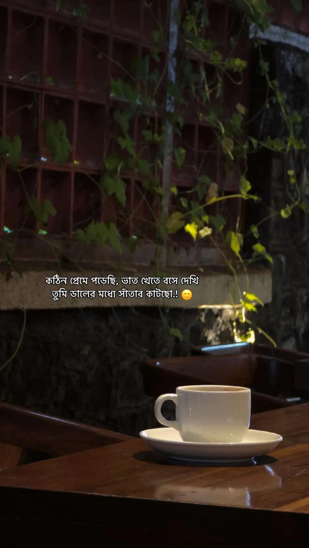 @𝗣𝗮𝗿𝗶𝘇𝗮𝗮𝗱 - ラトゥル 👑🇧🇩