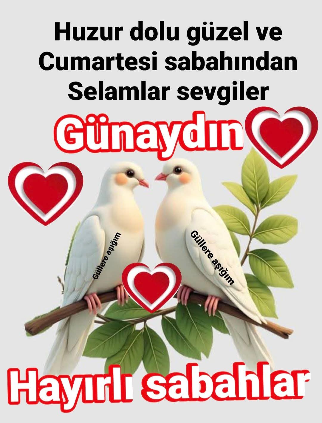 @güvenlik amiri Sami