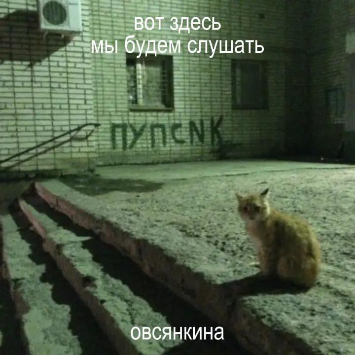 @ms babyloller 210 gang