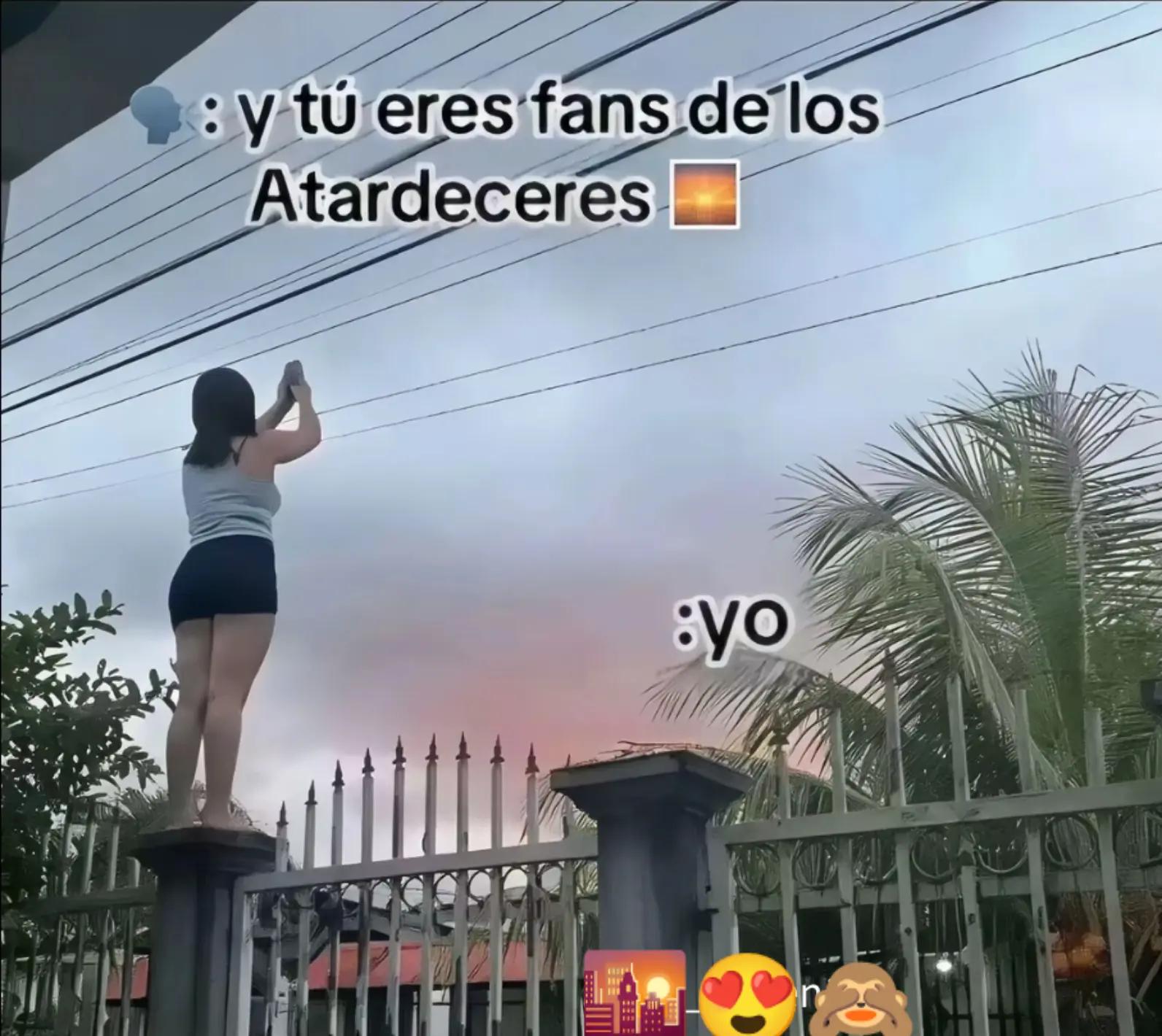 @🌊💦 S🕷️🕸️