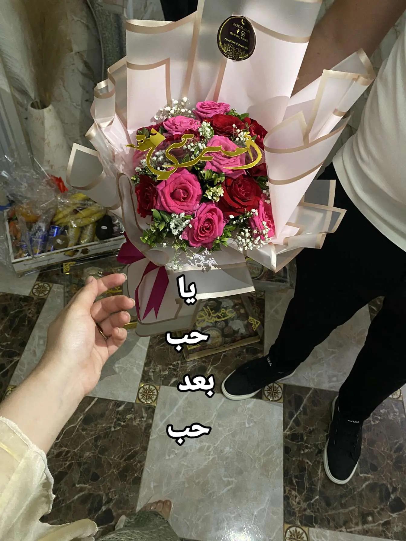 @amira mansour