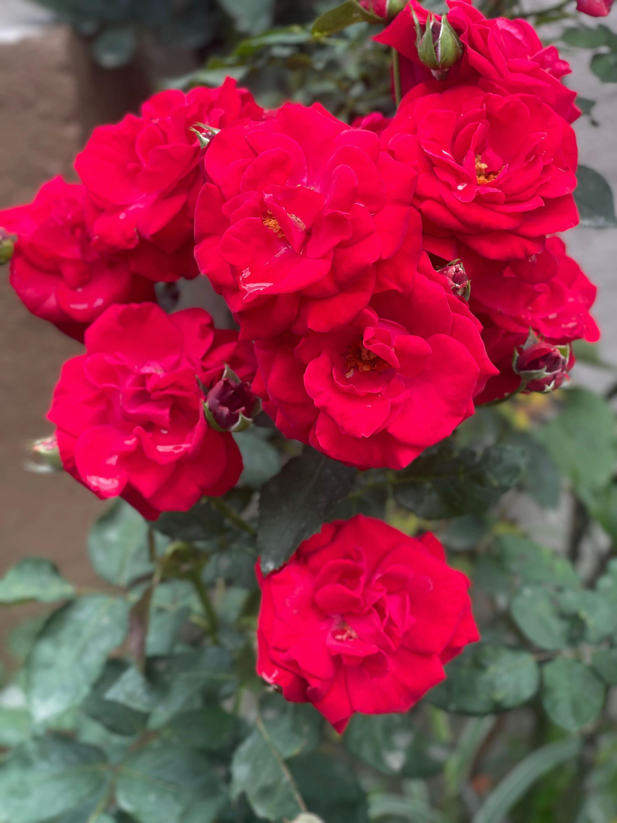 @Kalpana Shah