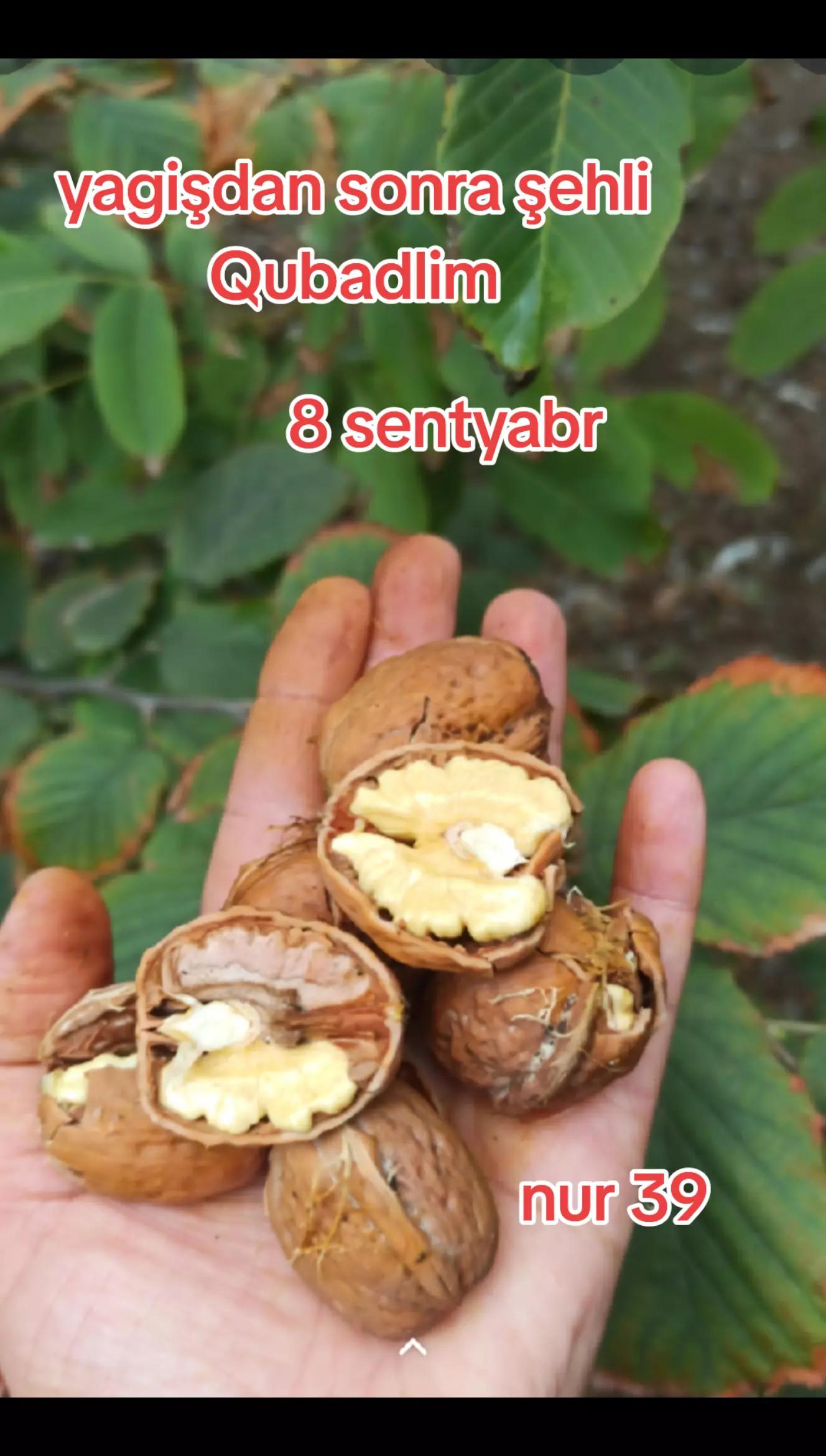 @Qubadlı qəhrəmanlar diyarı
