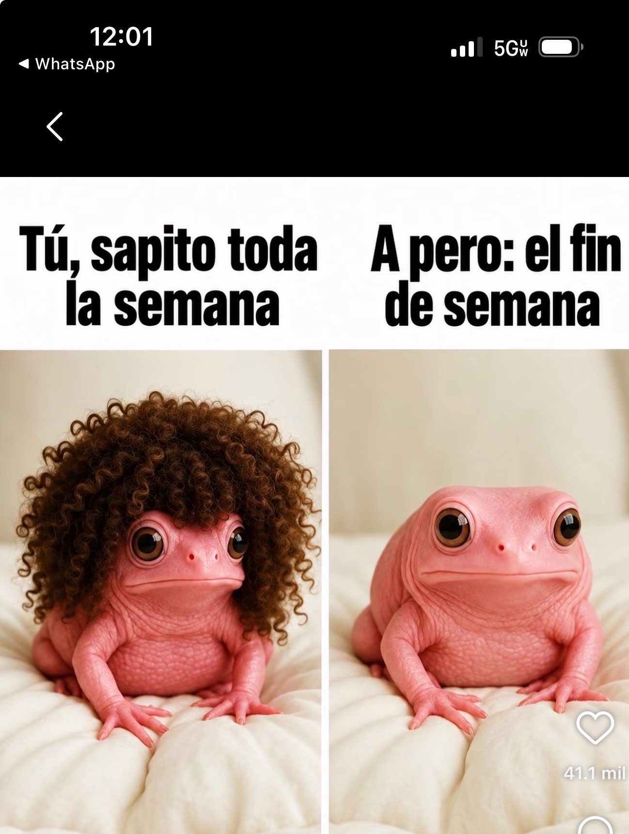 @La chaparrita sexi💝