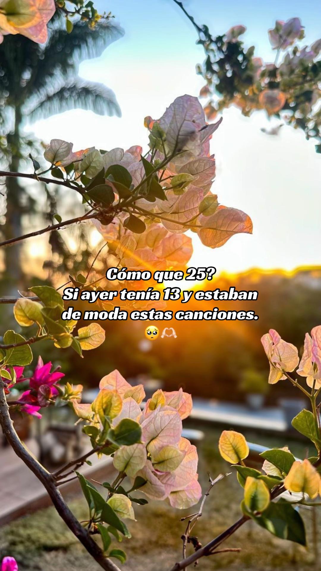 @Yesi González 🥰