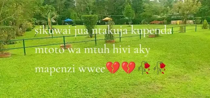 @user9199887874391