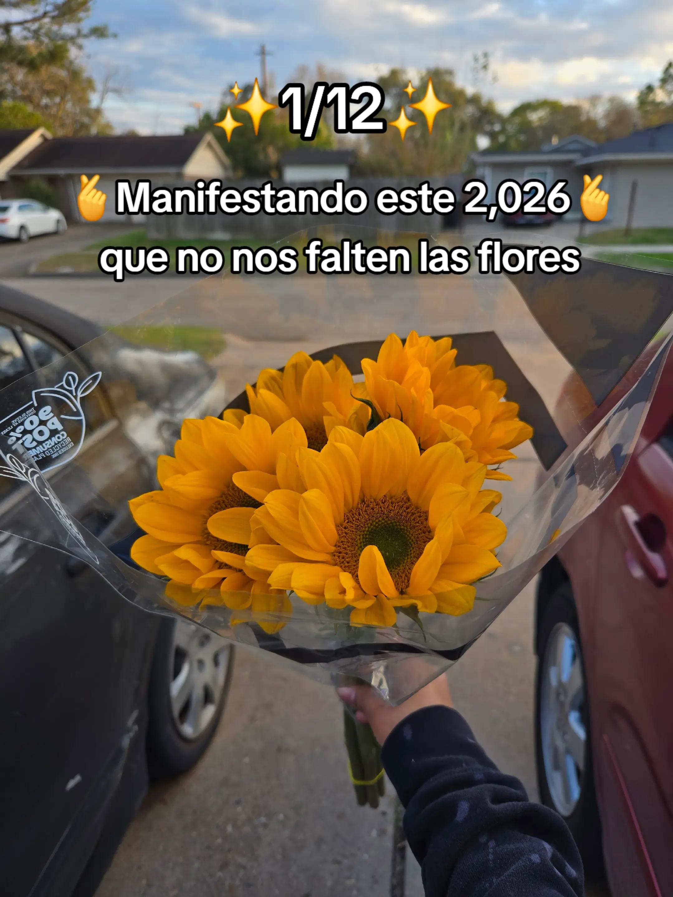 @Zoilita🦋