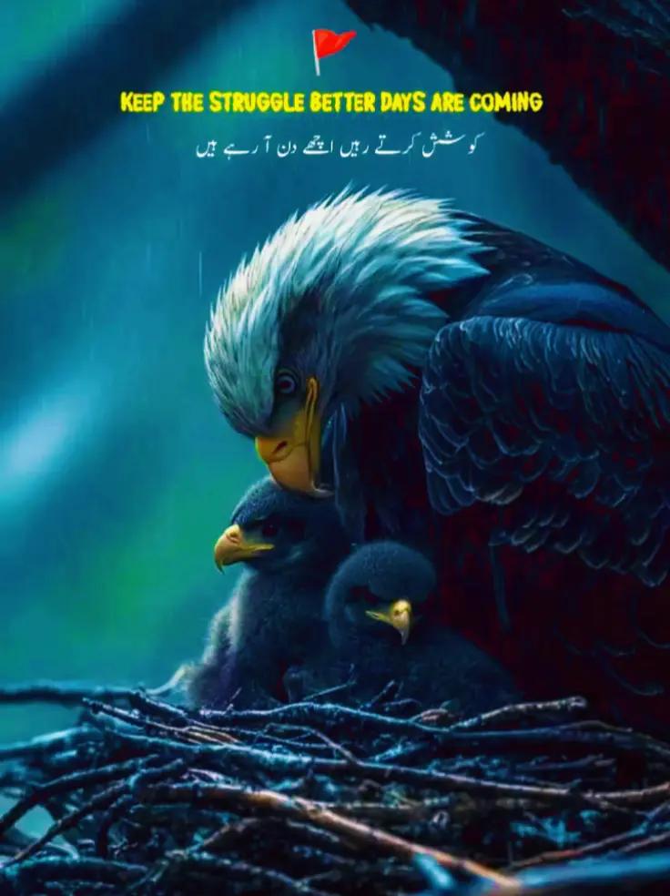 @(جواد)☠️☠️ج-وـ-ا-د🤫👀
