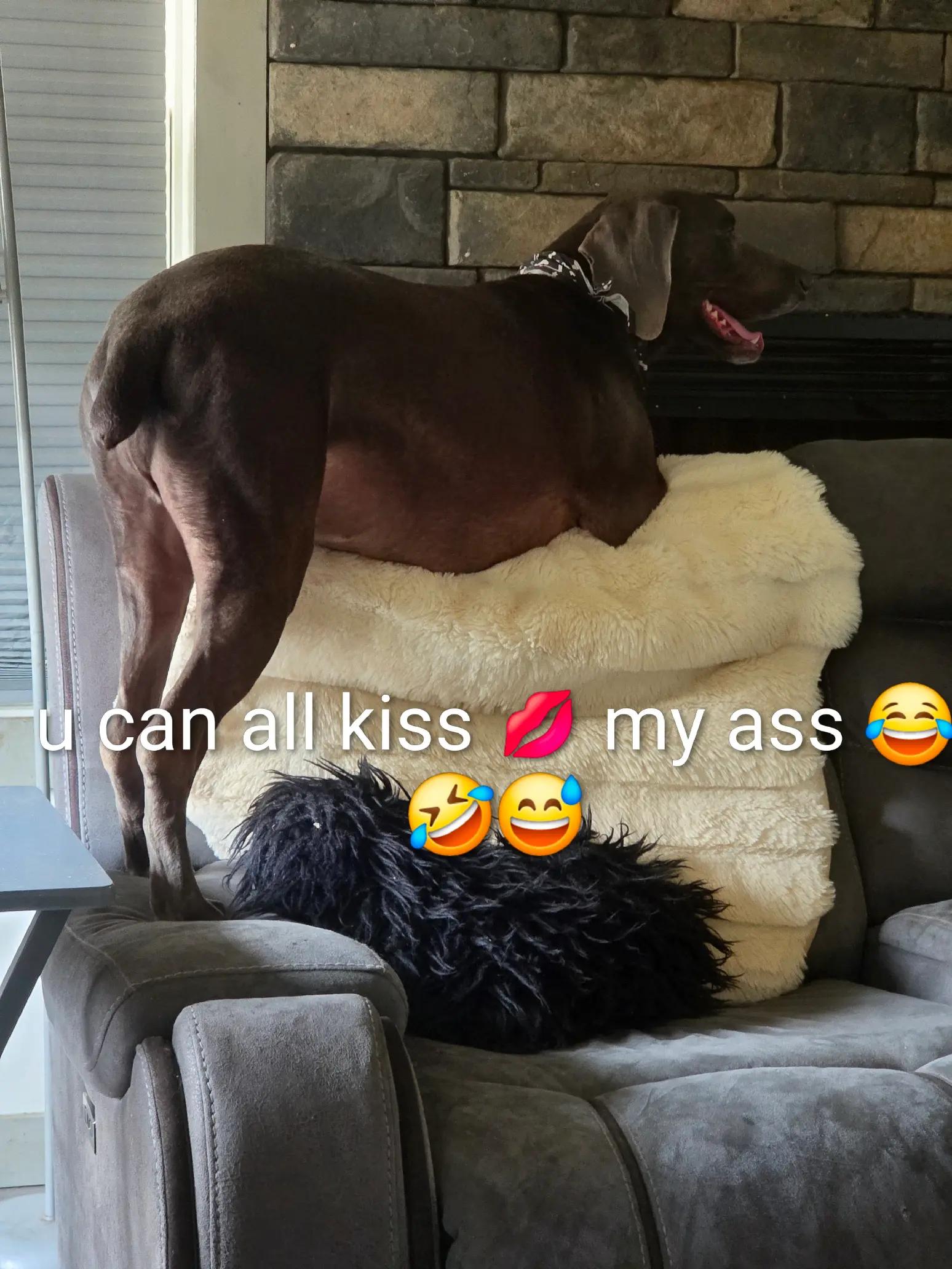 @sandyandjax437