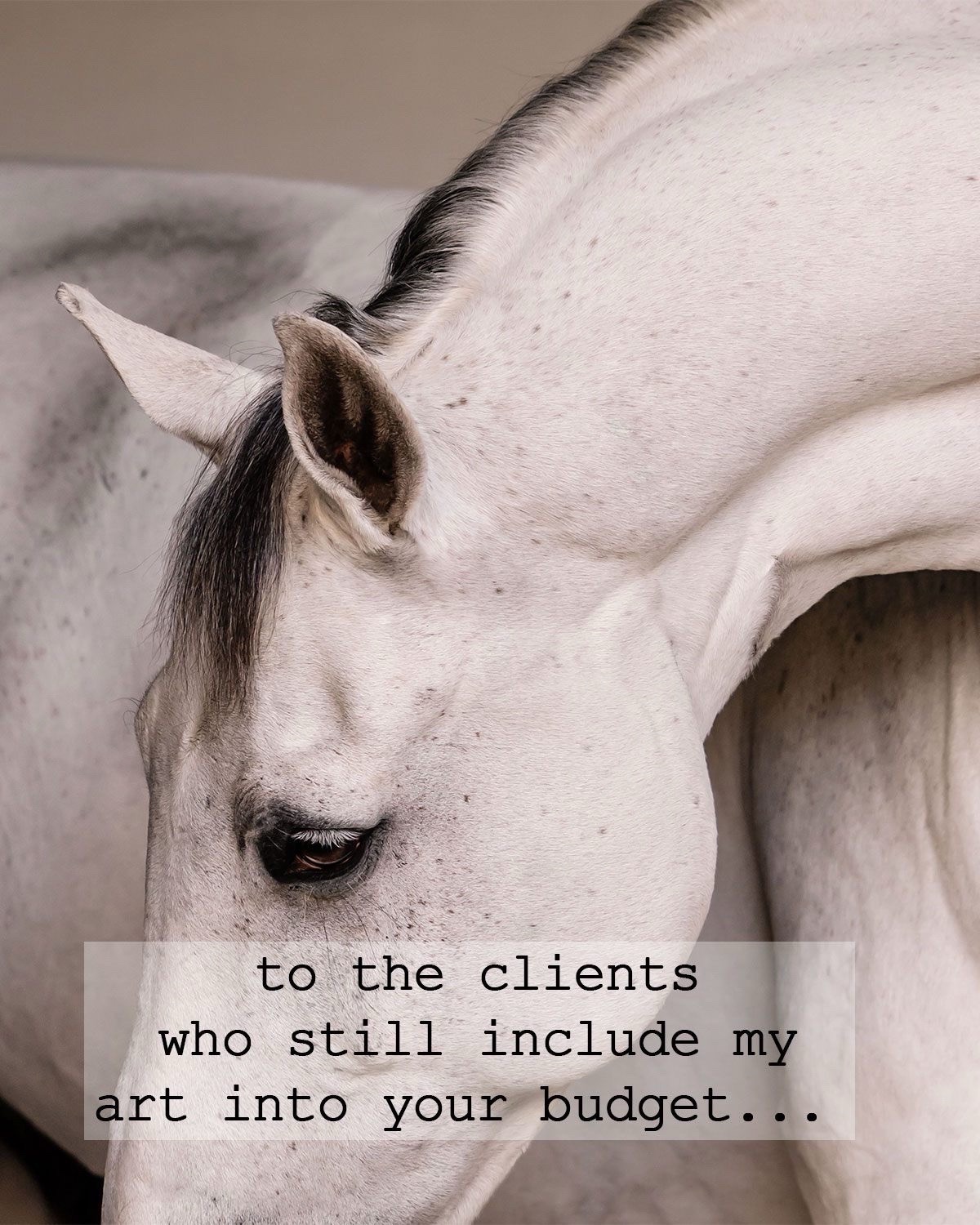 @Tisha 📸🦄 Equestrian Photog