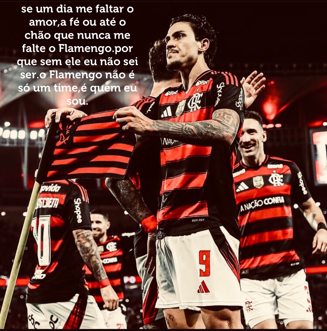 @miguell ᶜʳᶠ
