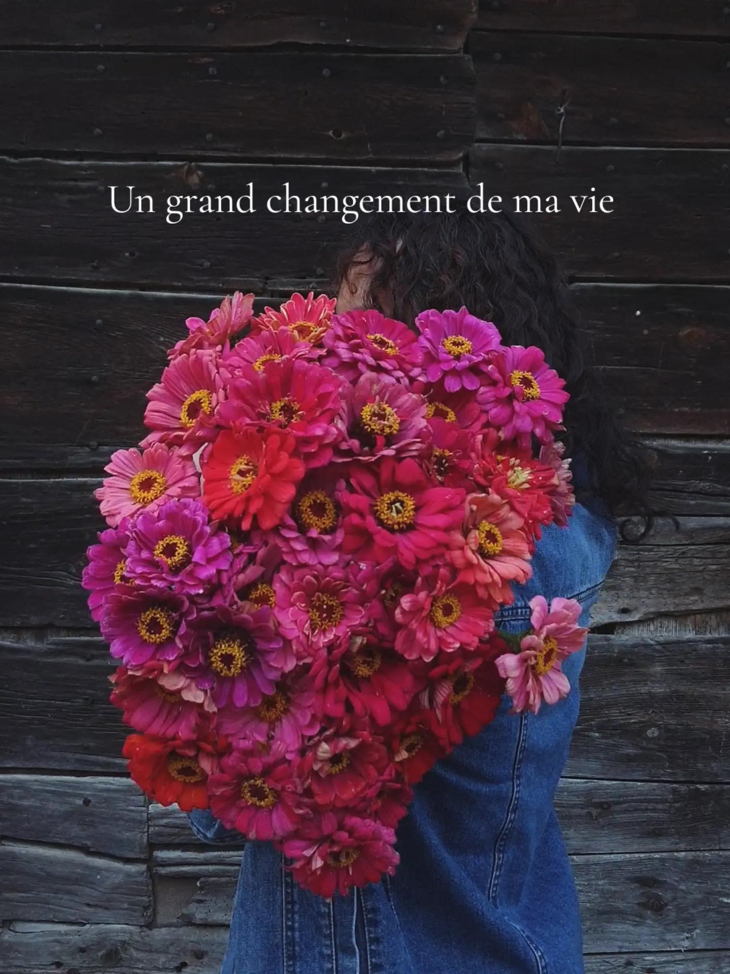 @La Vivacerie