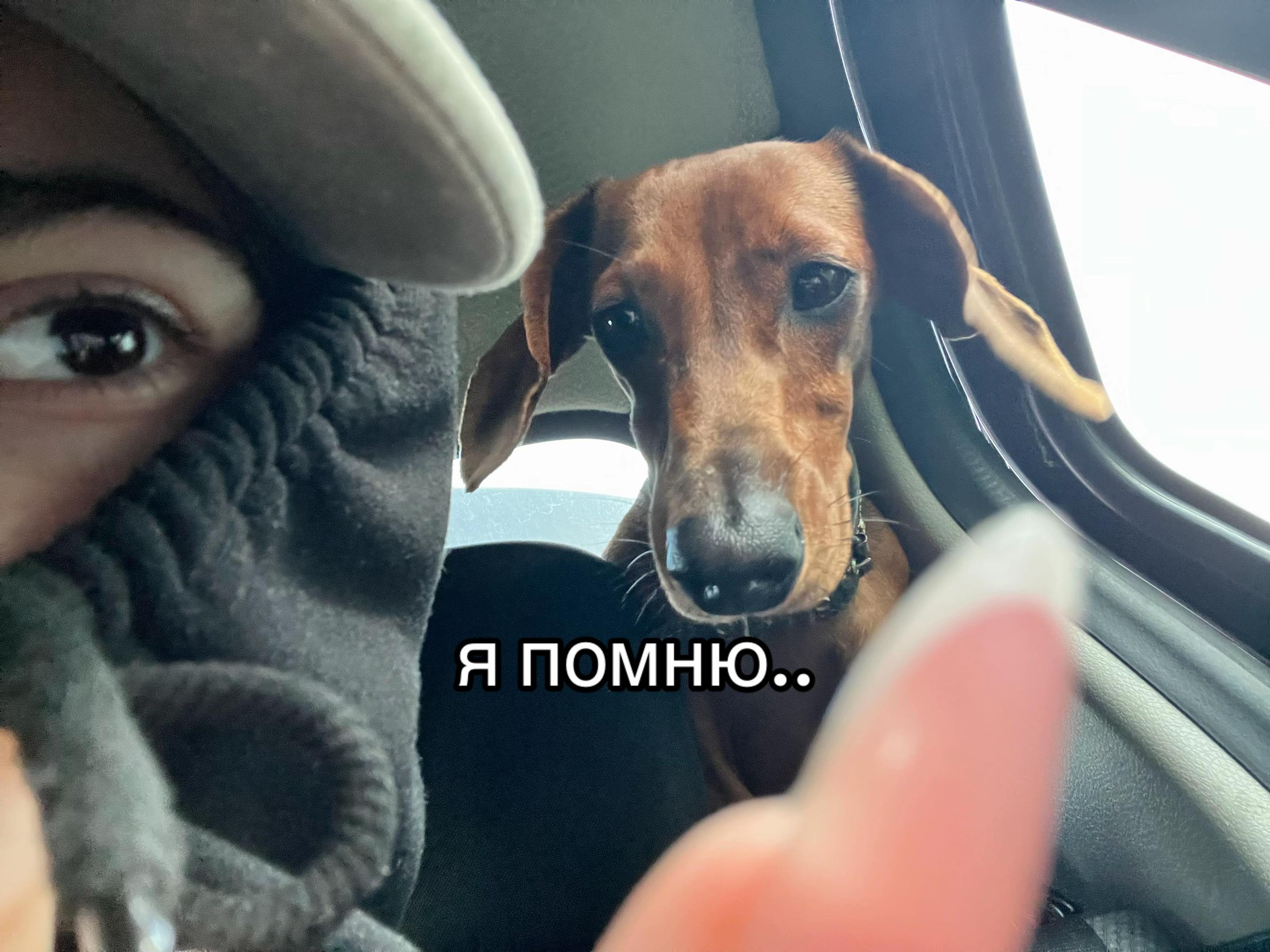 @fifimilashka