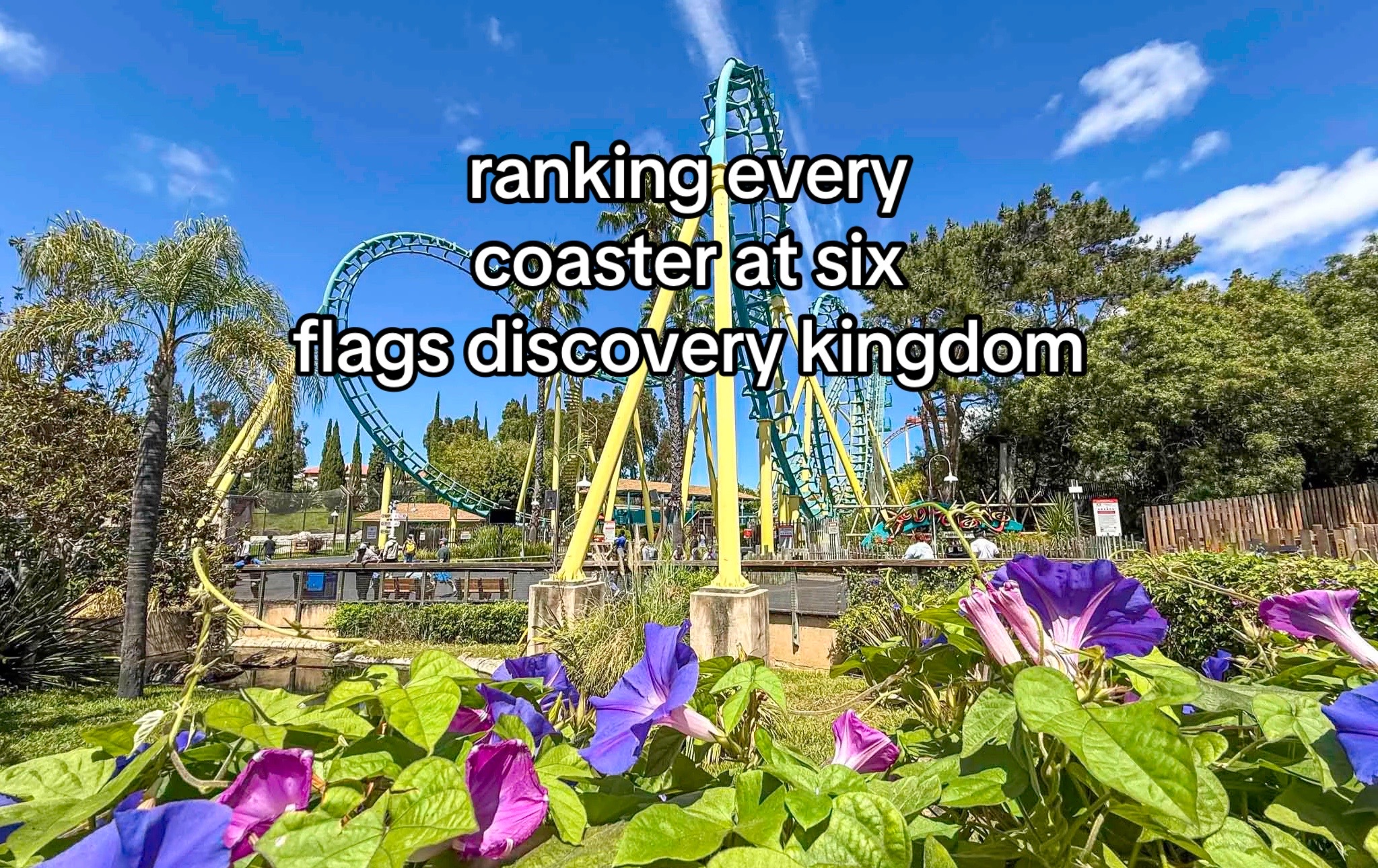 @raegan