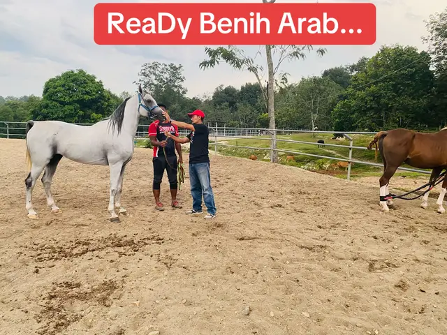 @Subdepo Arabian Park