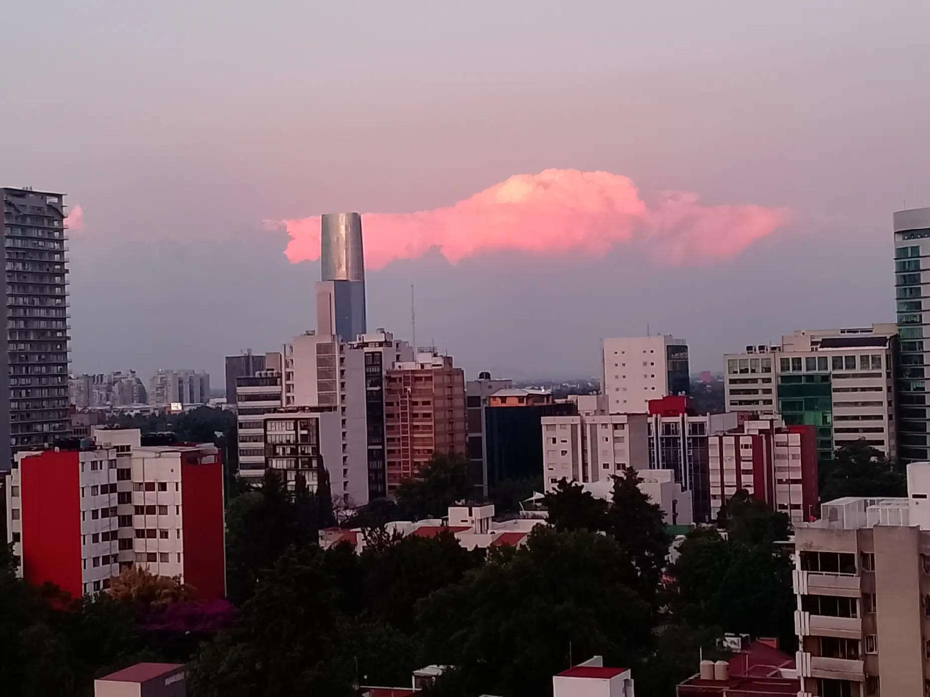 @Mart&iacute;n Campos