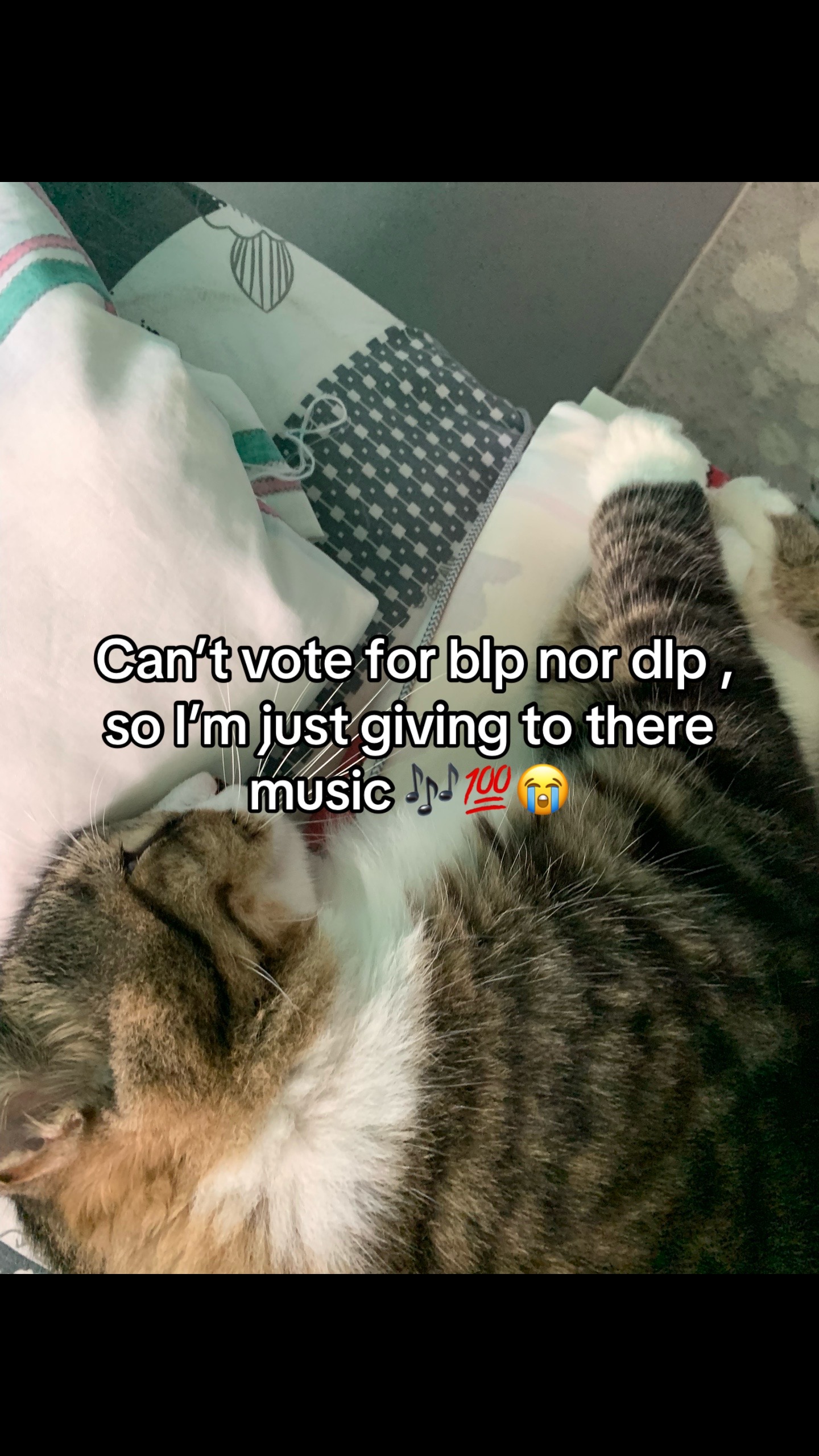 @bim.official.videos